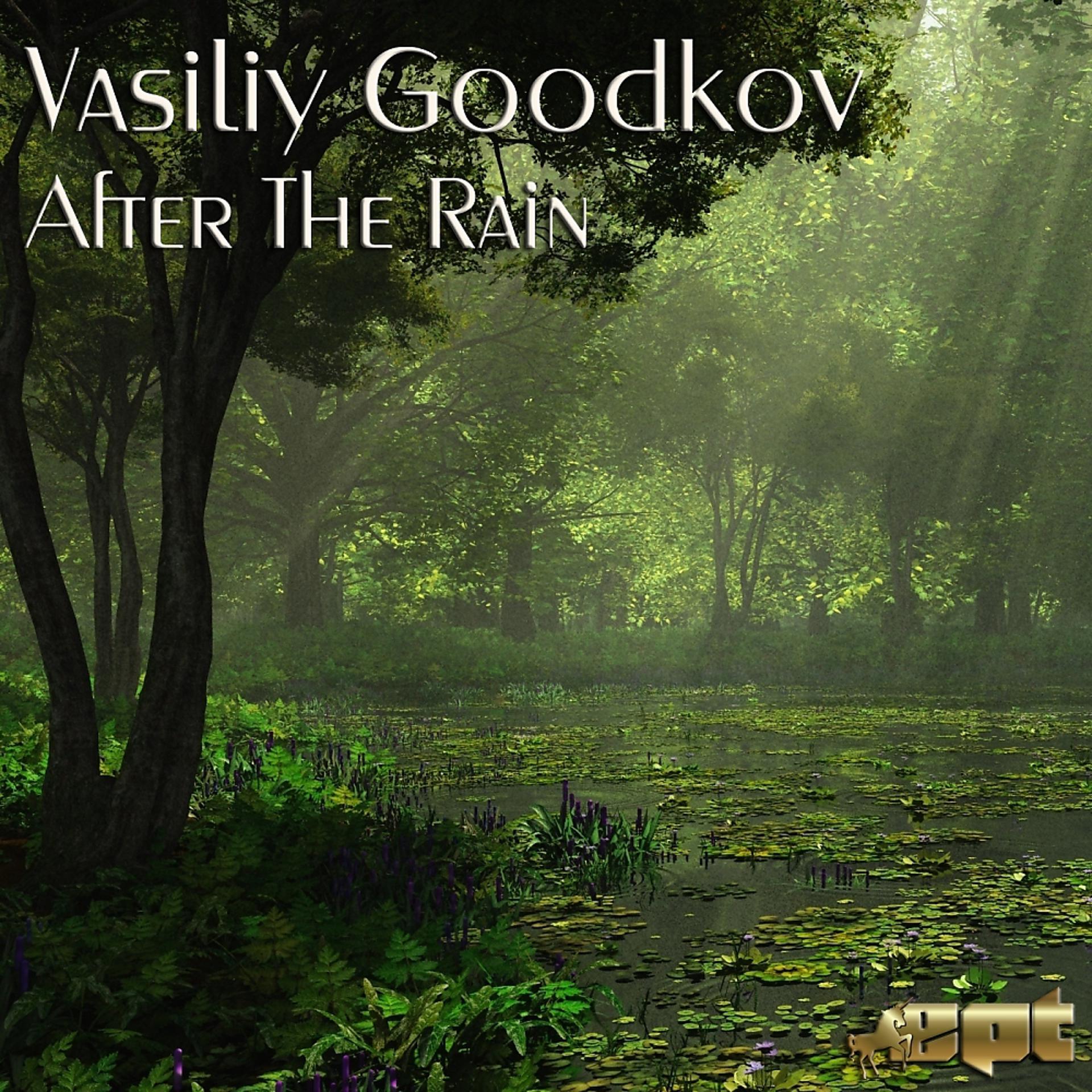 Постер альбома After The Rain