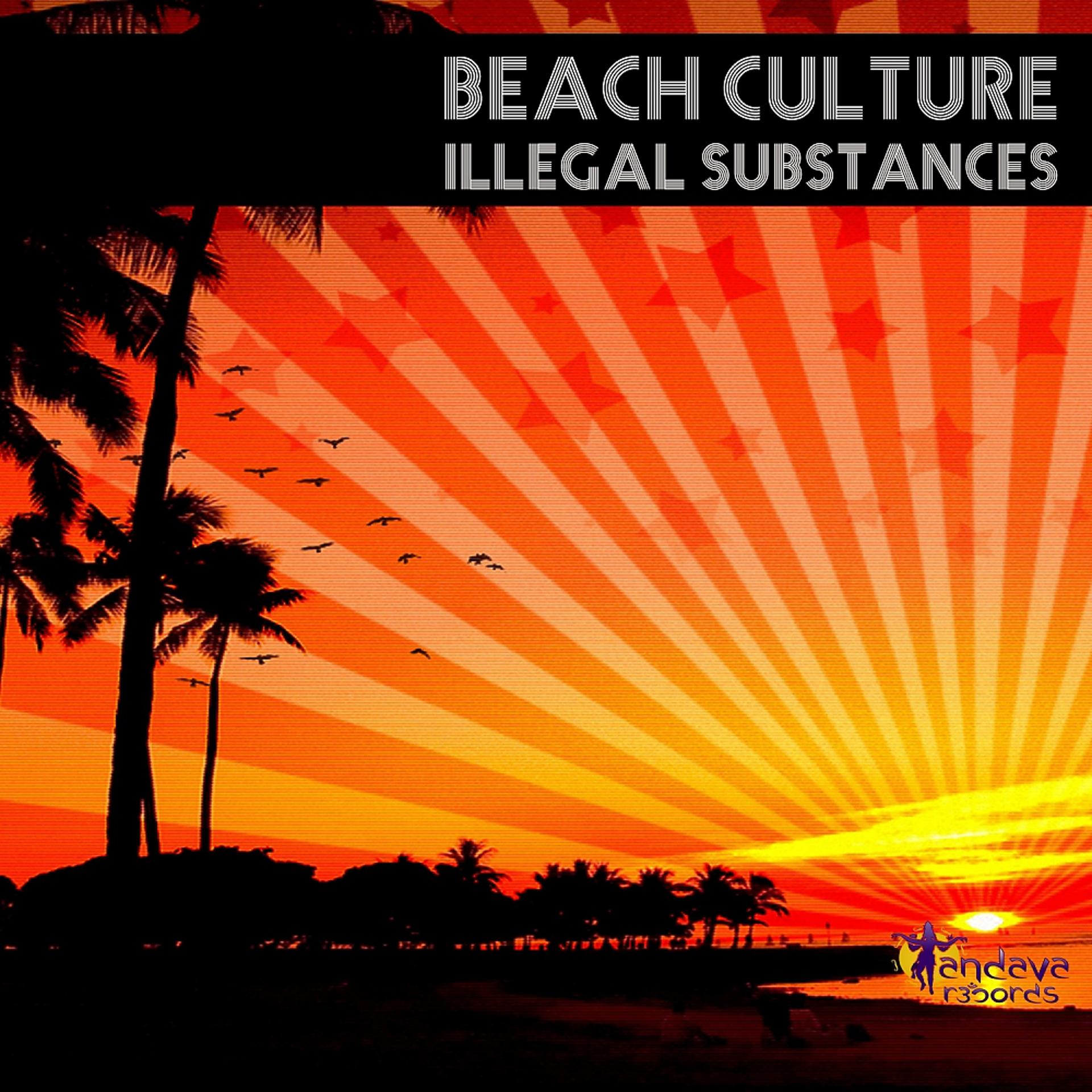 Постер альбома Beach Culture