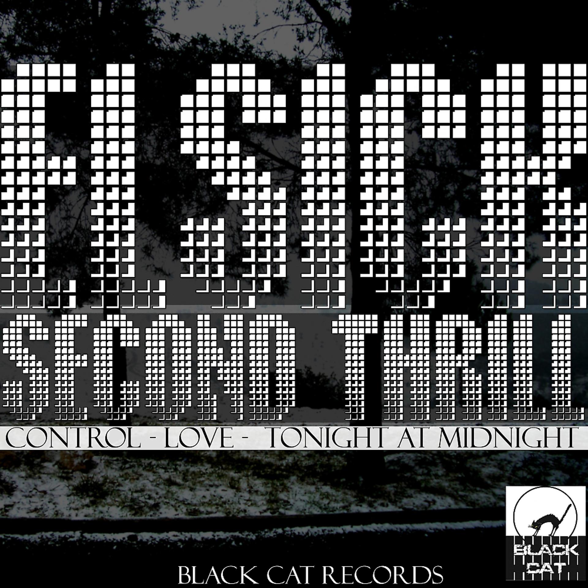 Постер альбома Second Trhill