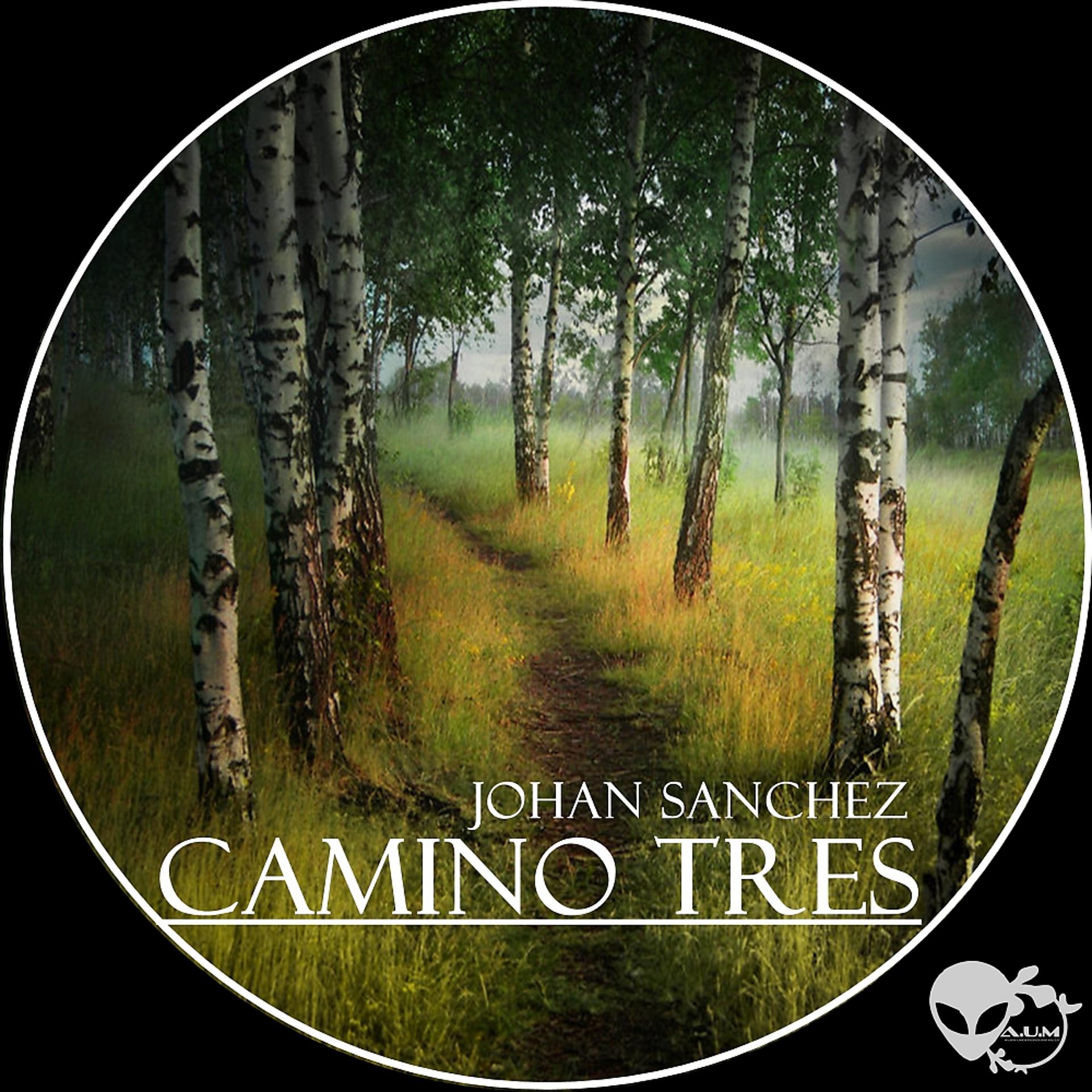 Постер альбома Camino Tres