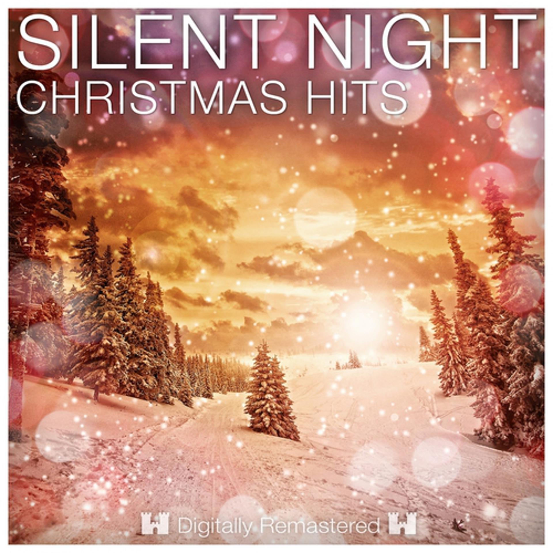 Постер альбома Silent Night - Christmas Hits