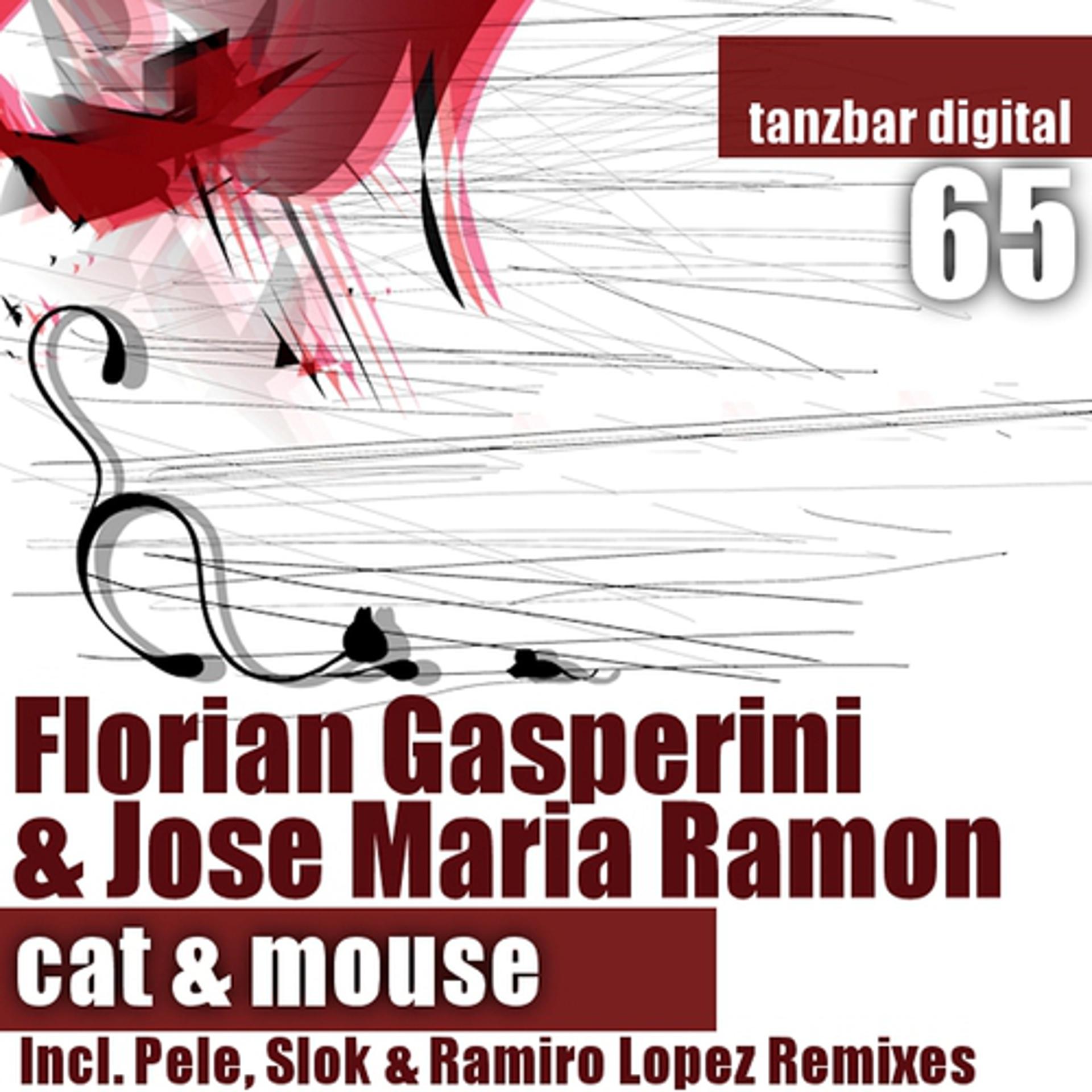 Постер альбома Cat & Mouse (Pele, Slok, Ramiro Lopez Remixes)