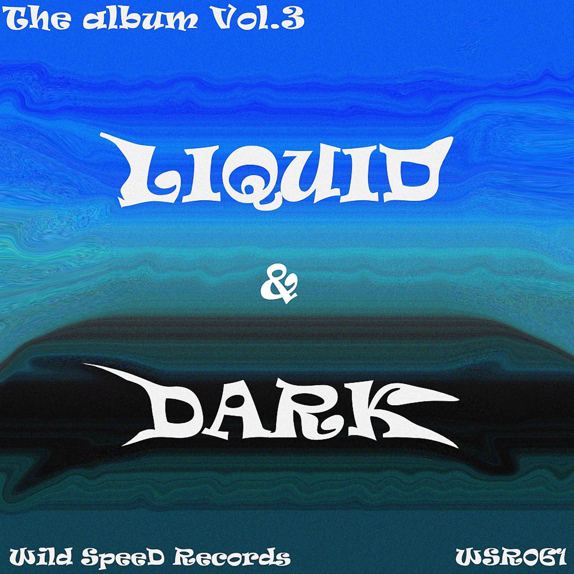 Постер альбома Liquid & Dark Vol. 3