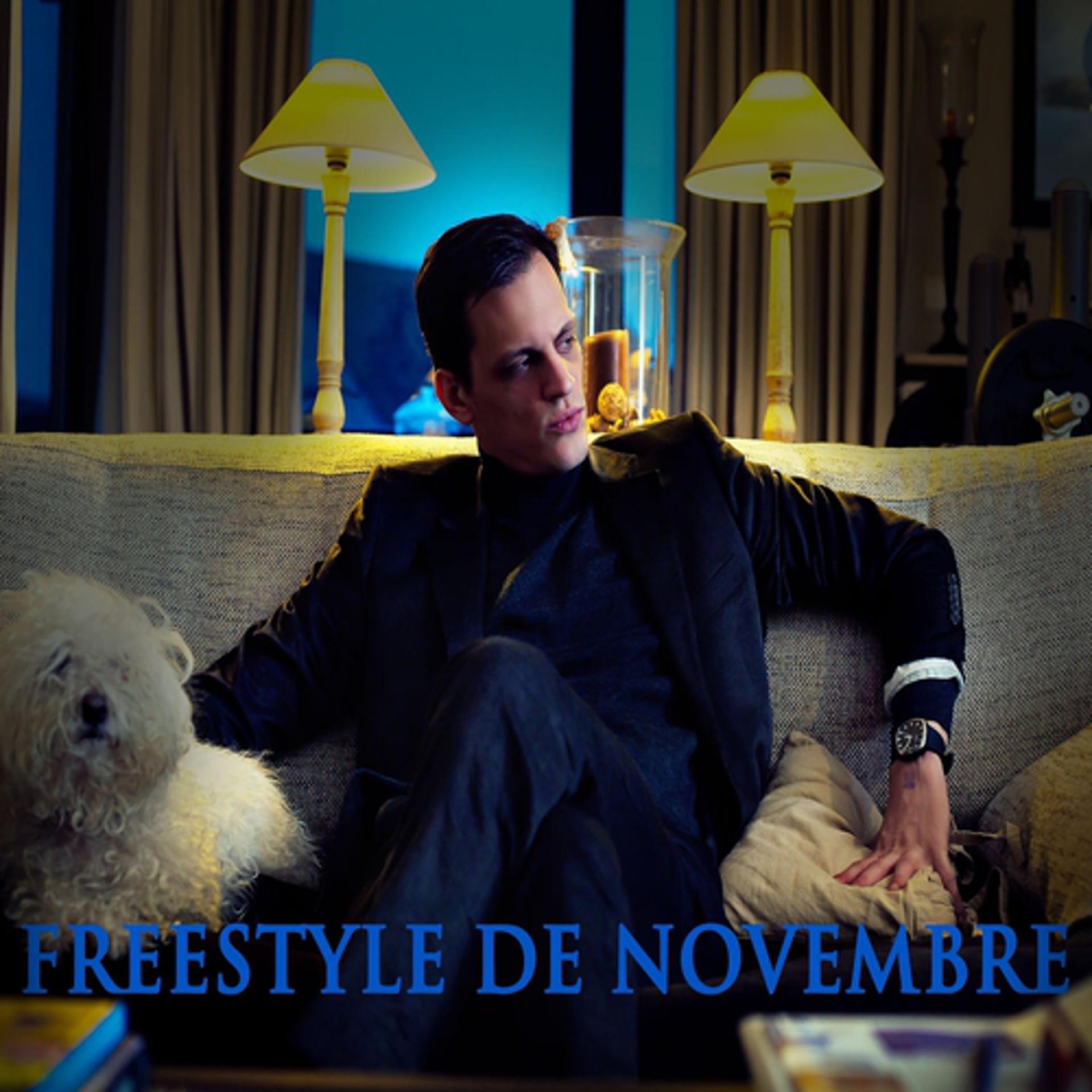 Постер альбома Freestyle de novembre