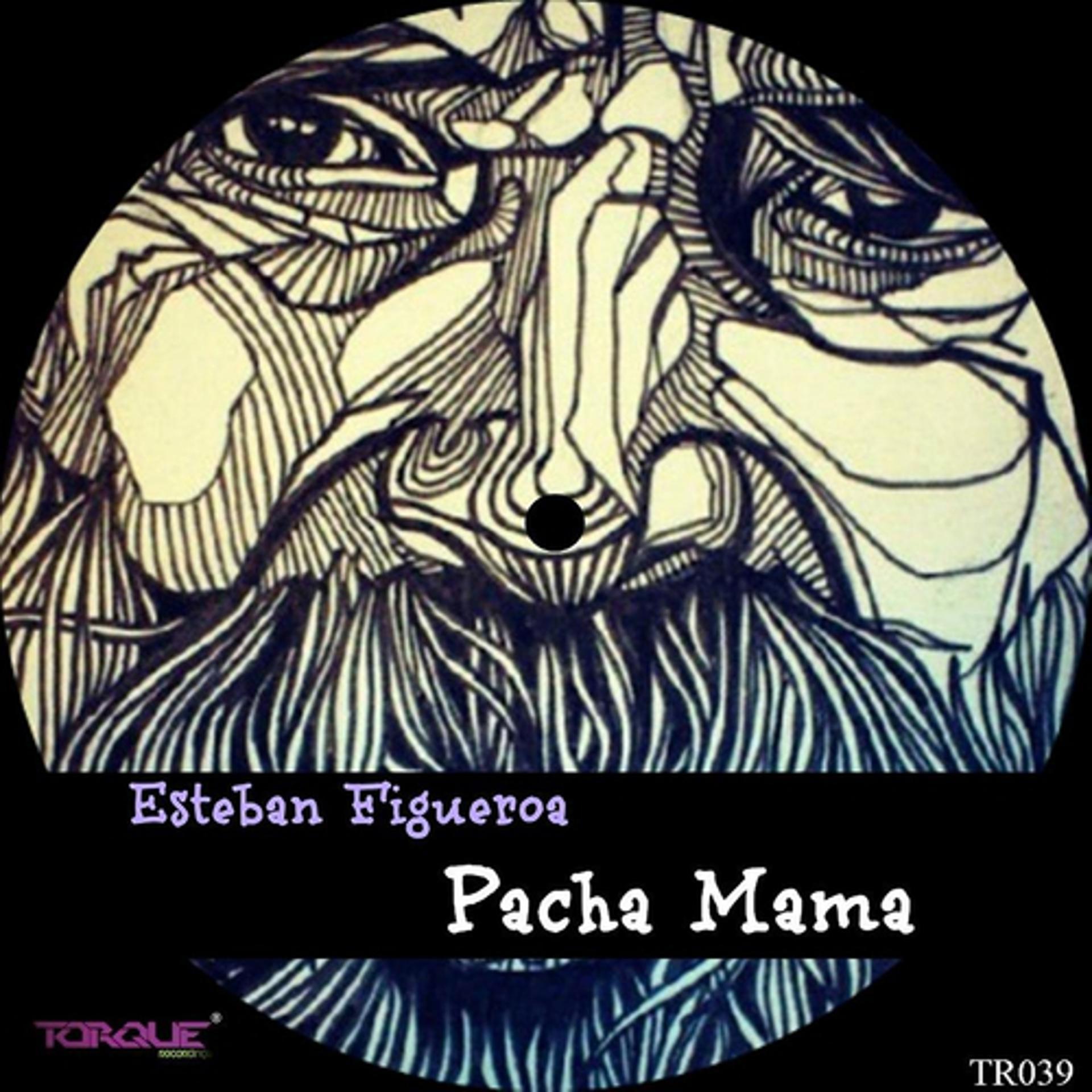 Постер альбома Pacha Mama