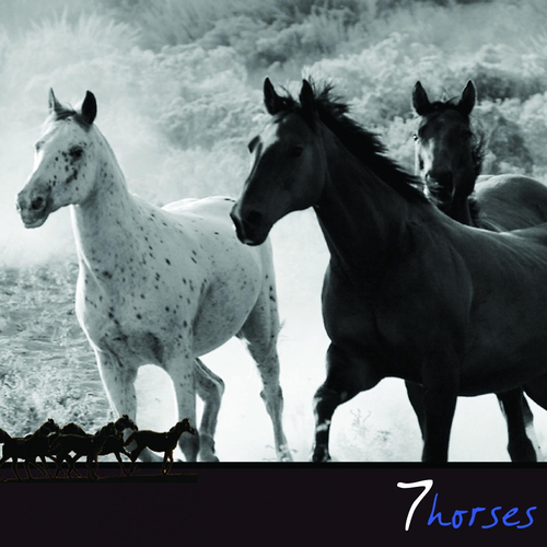 Постер альбома 7 Horses
