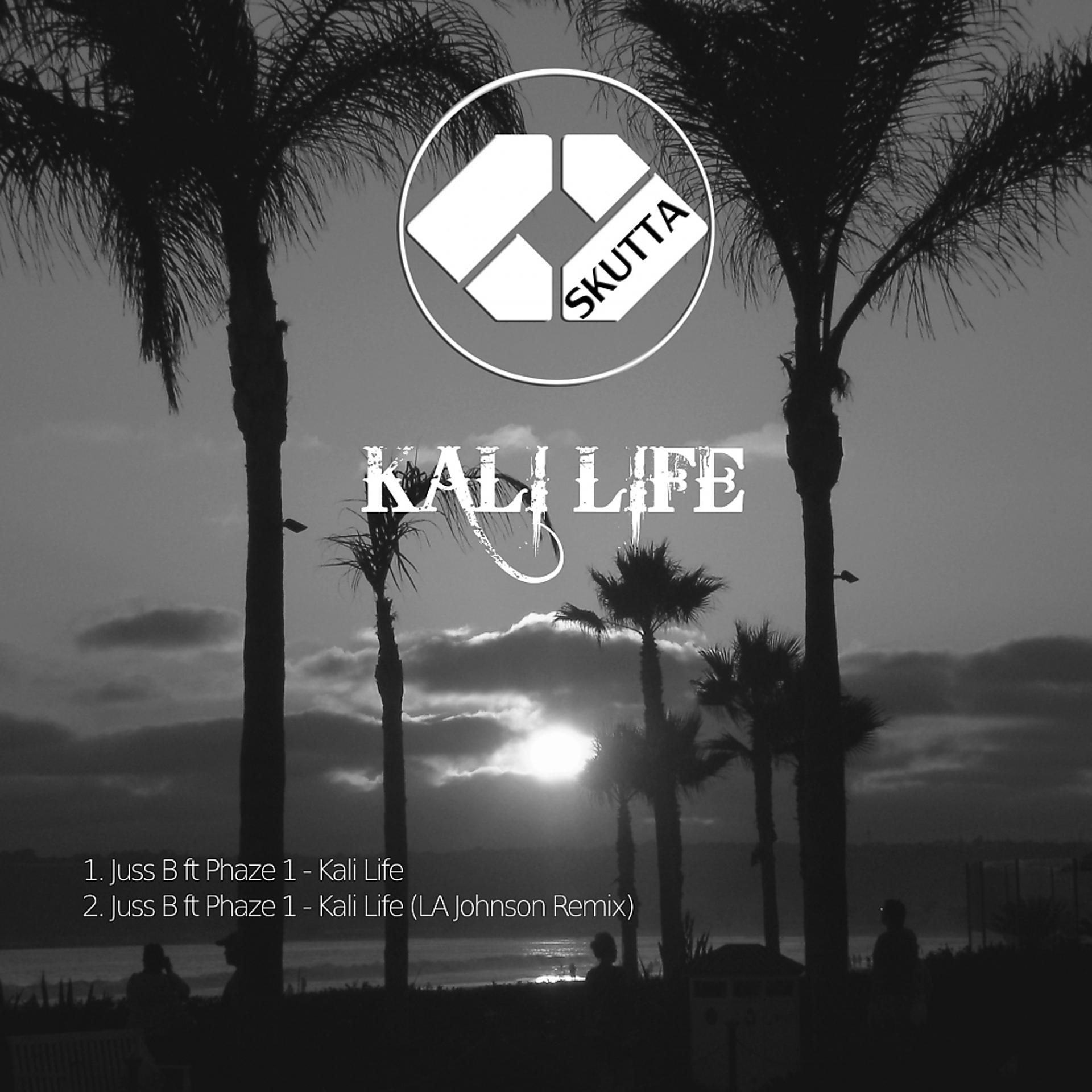 Постер альбома Kali Life