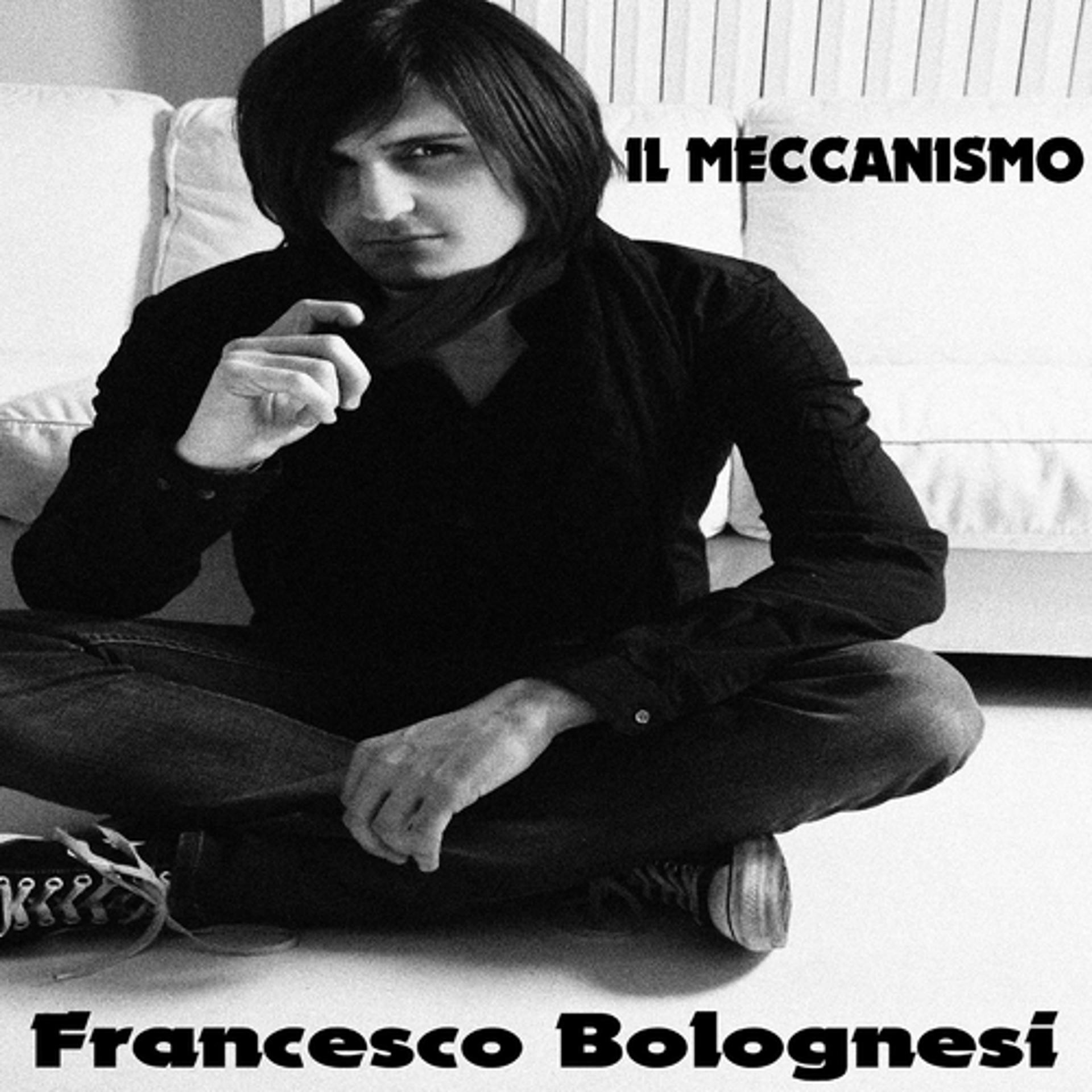 Постер альбома Il meccanismo