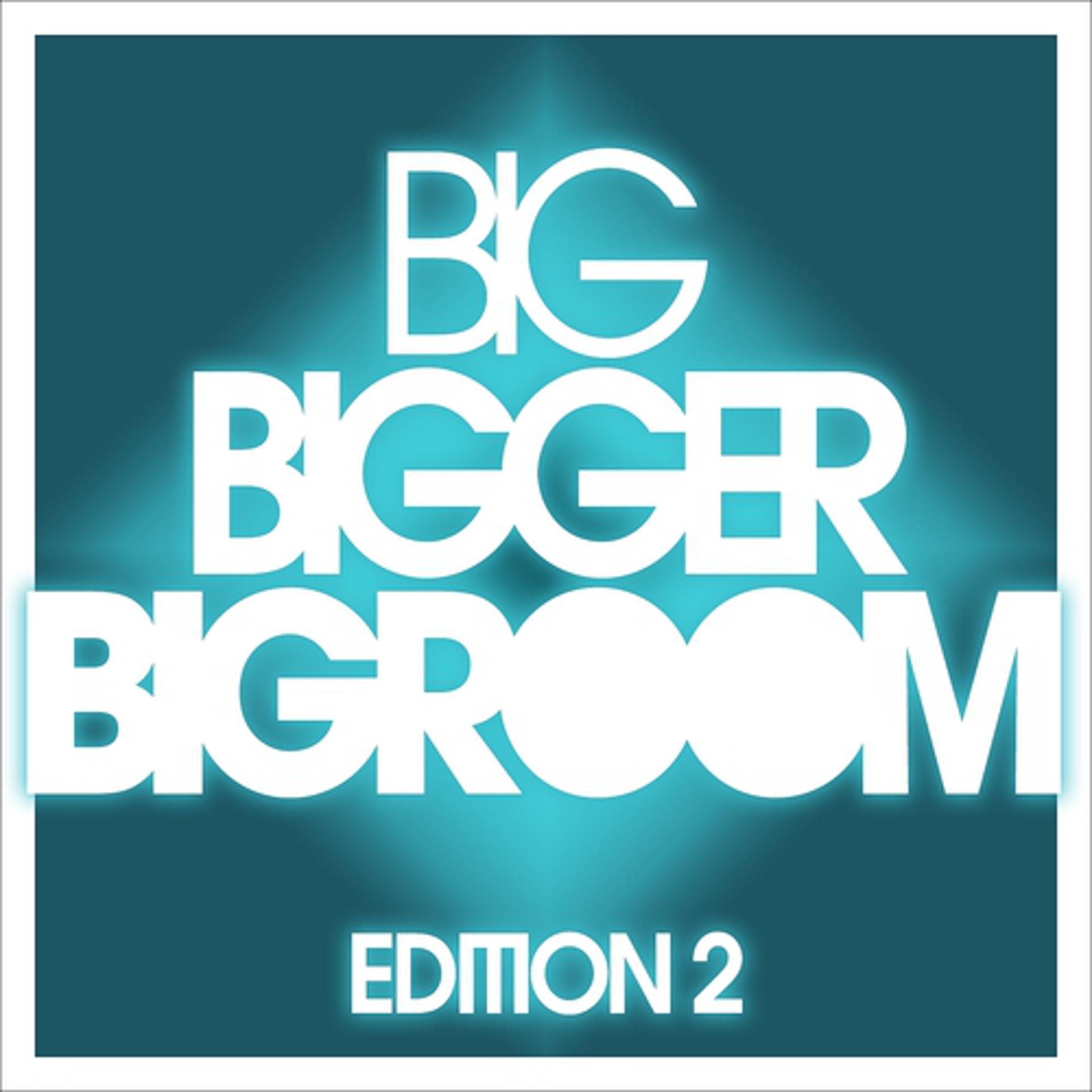 Постер альбома Big, Bigger, Bigroom, Vol. 2