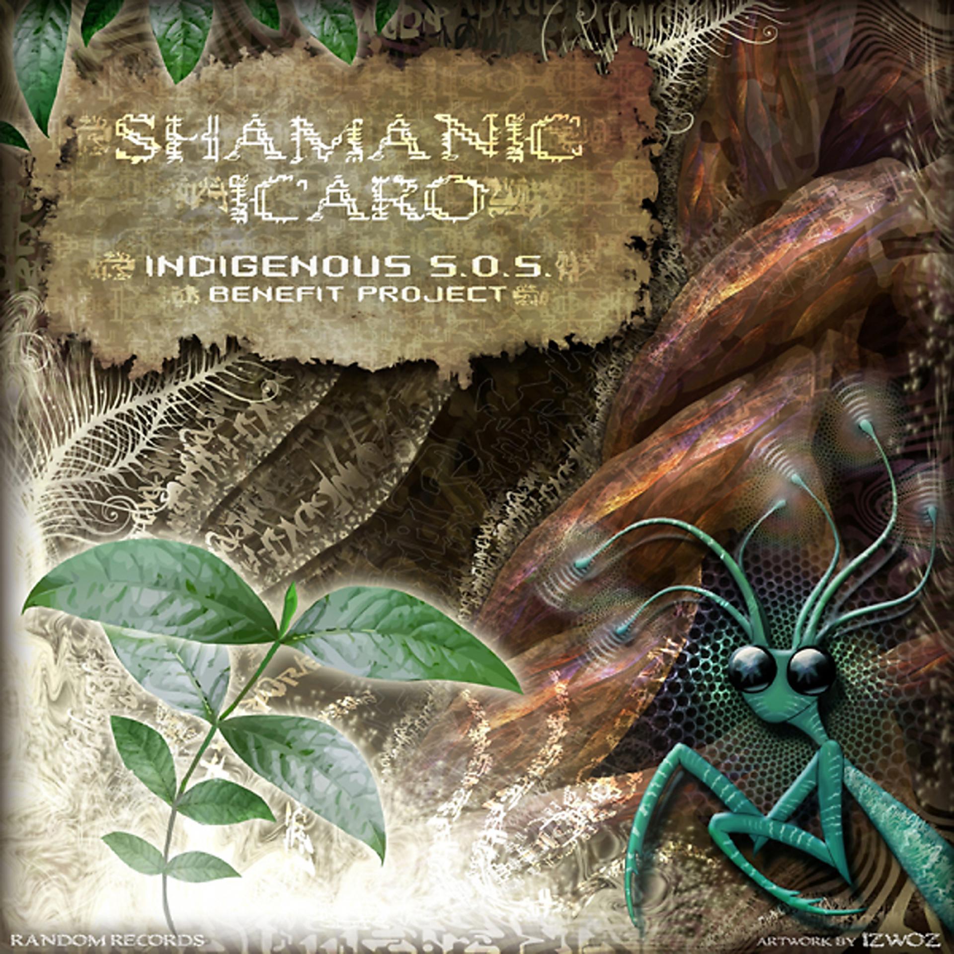 Постер альбома Shamanic Icaro