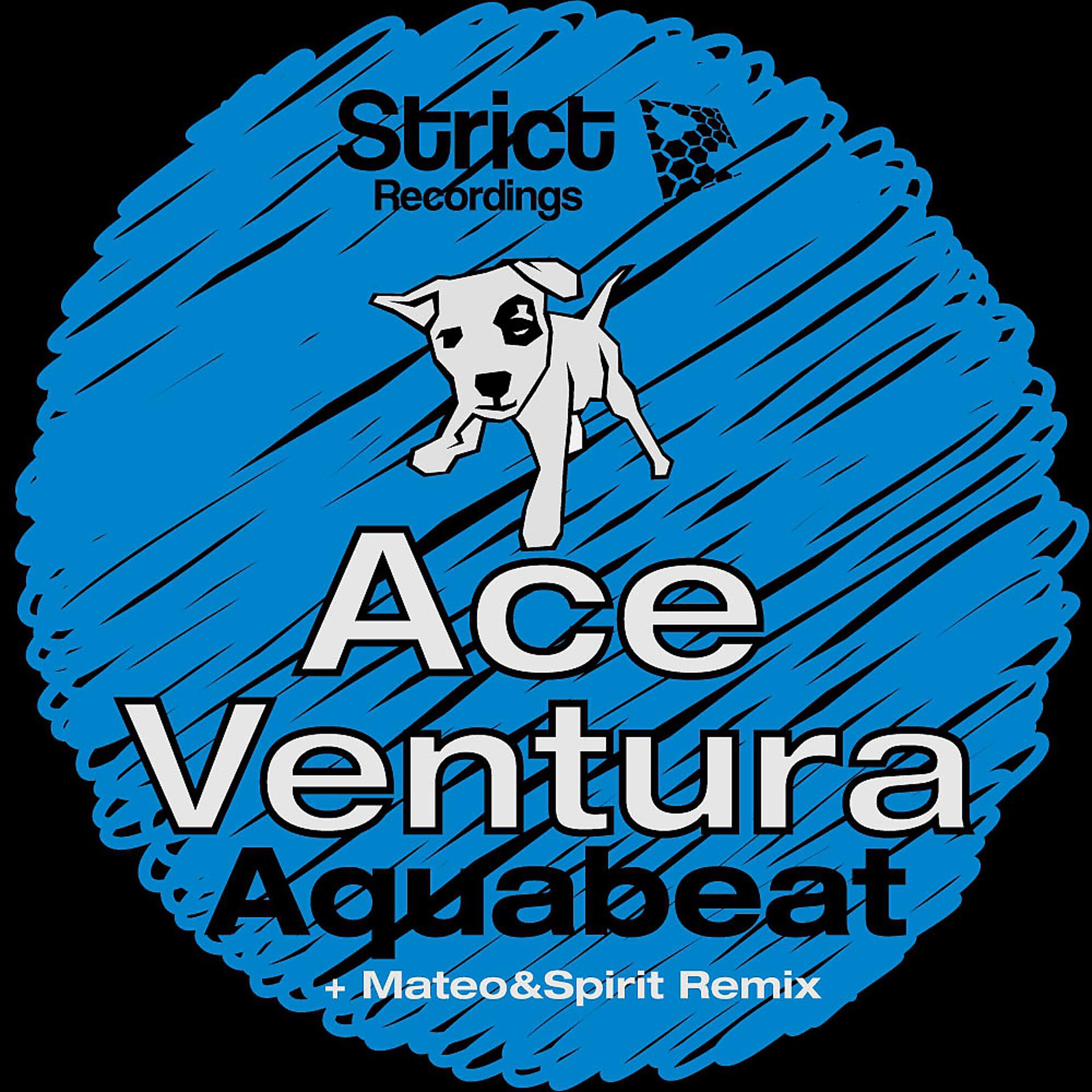 Постер альбома Ace Ventura