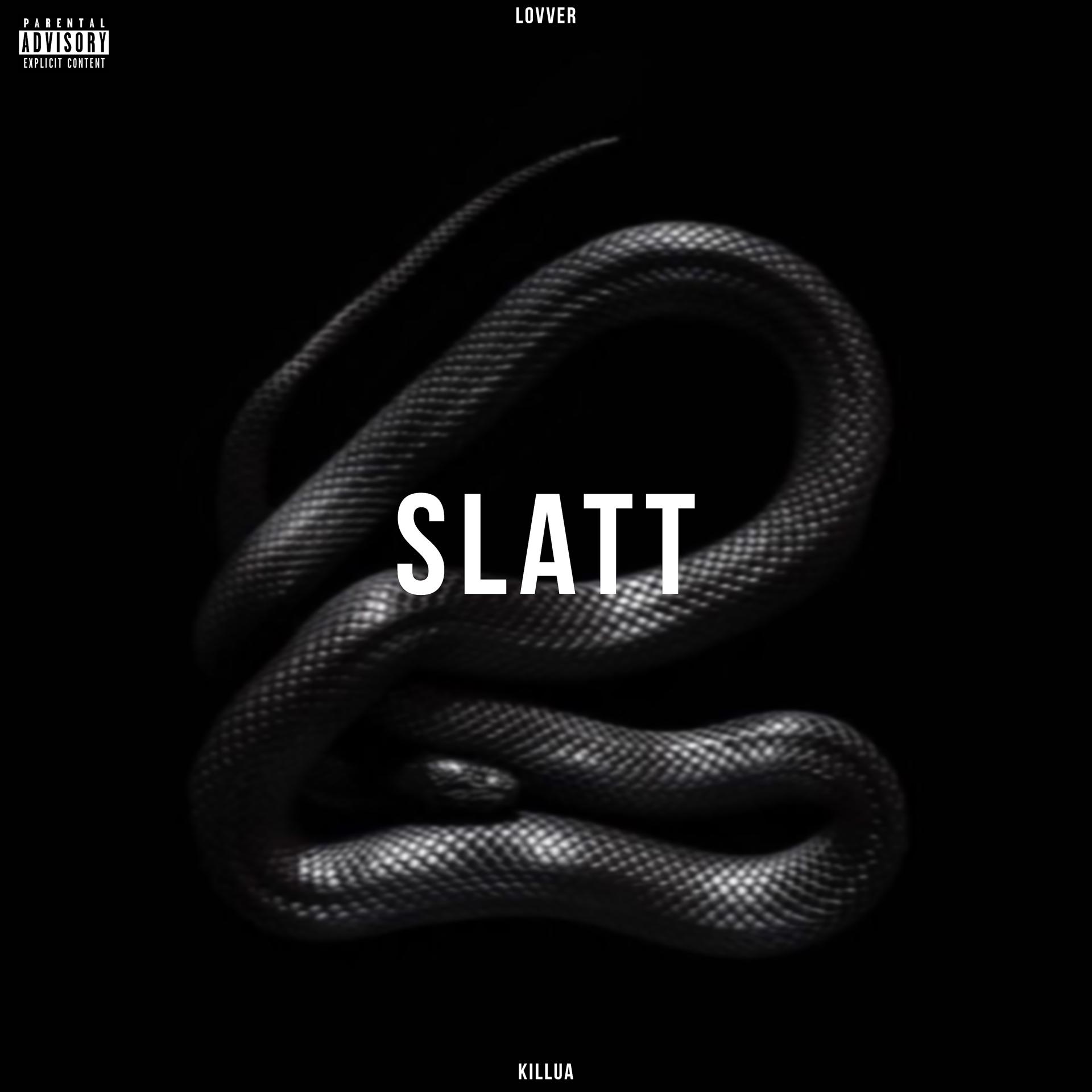Постер альбома Slatt