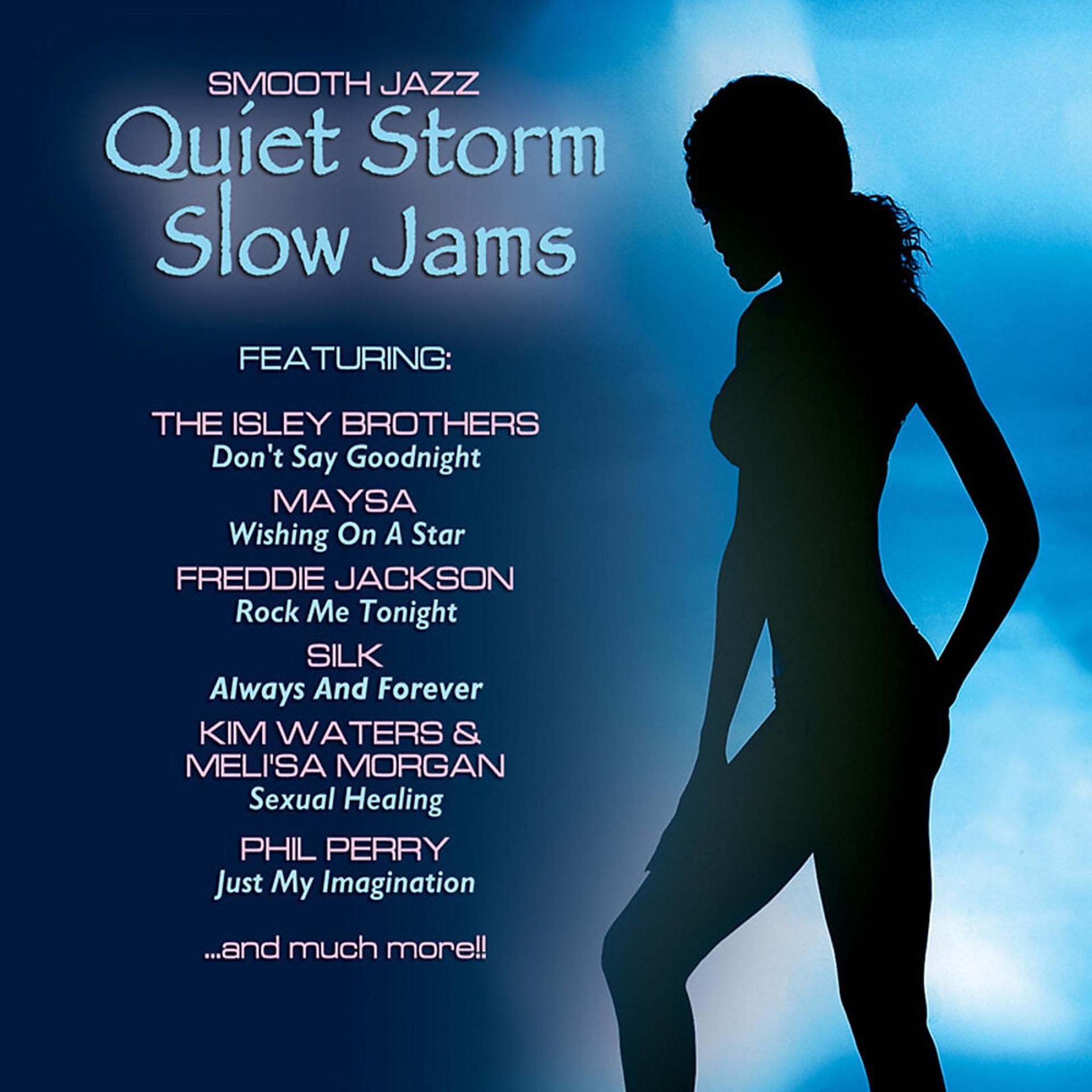 Постер альбома Quiet Storm Slow Jams