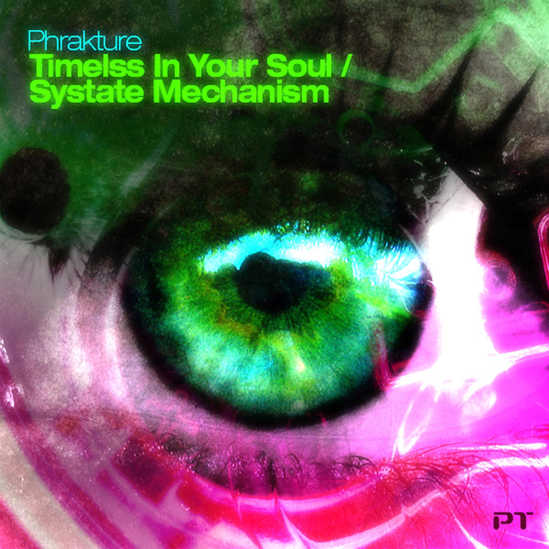 Постер альбома Systate Mechanism / Timeless in Your Soul