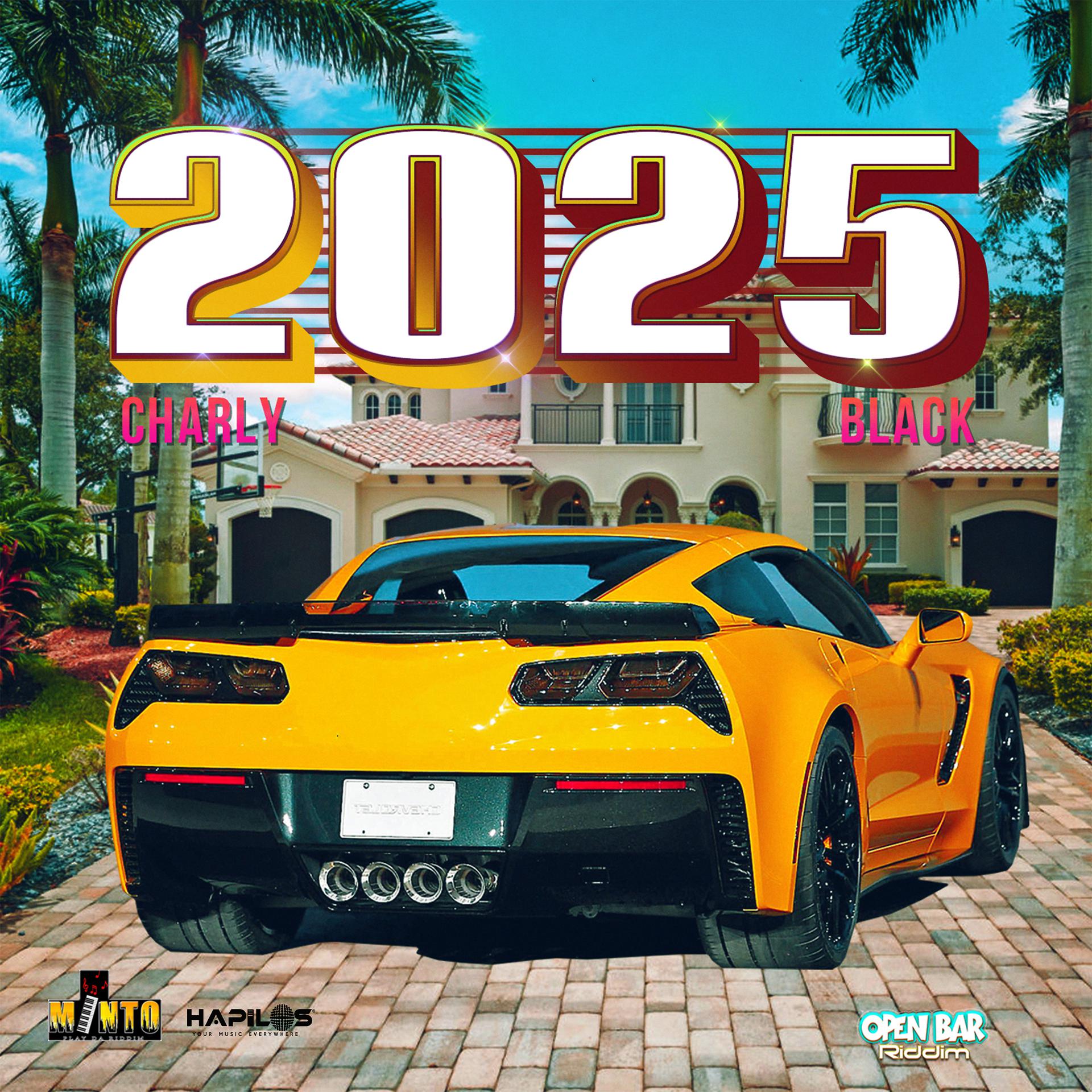 Постер альбома 2025