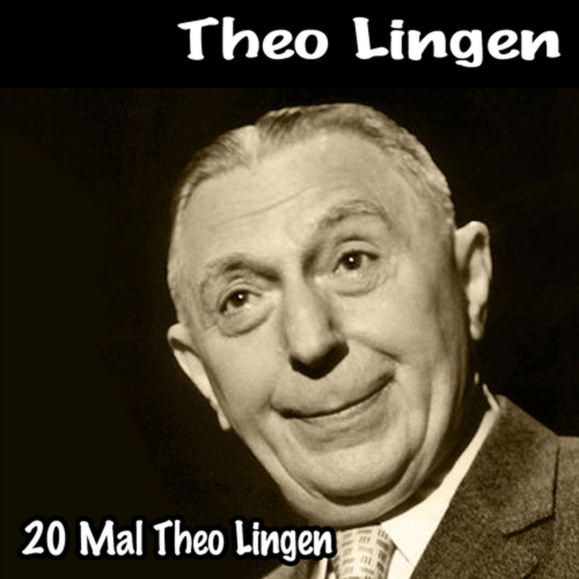 Постер альбома 20 Mal Theo Lingen
