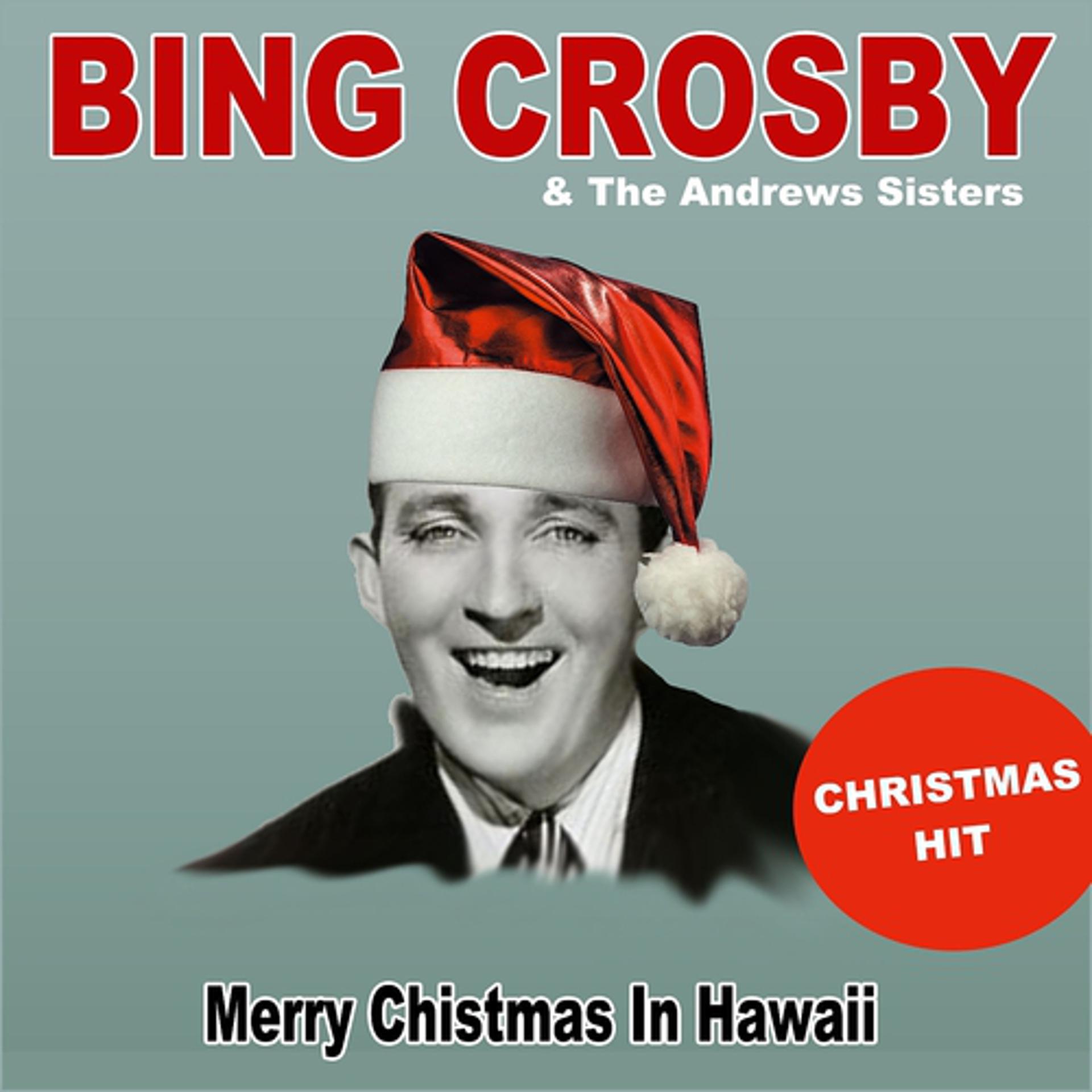 Постер альбома Merry Chistmas in Hawaii (Christmas Hit)