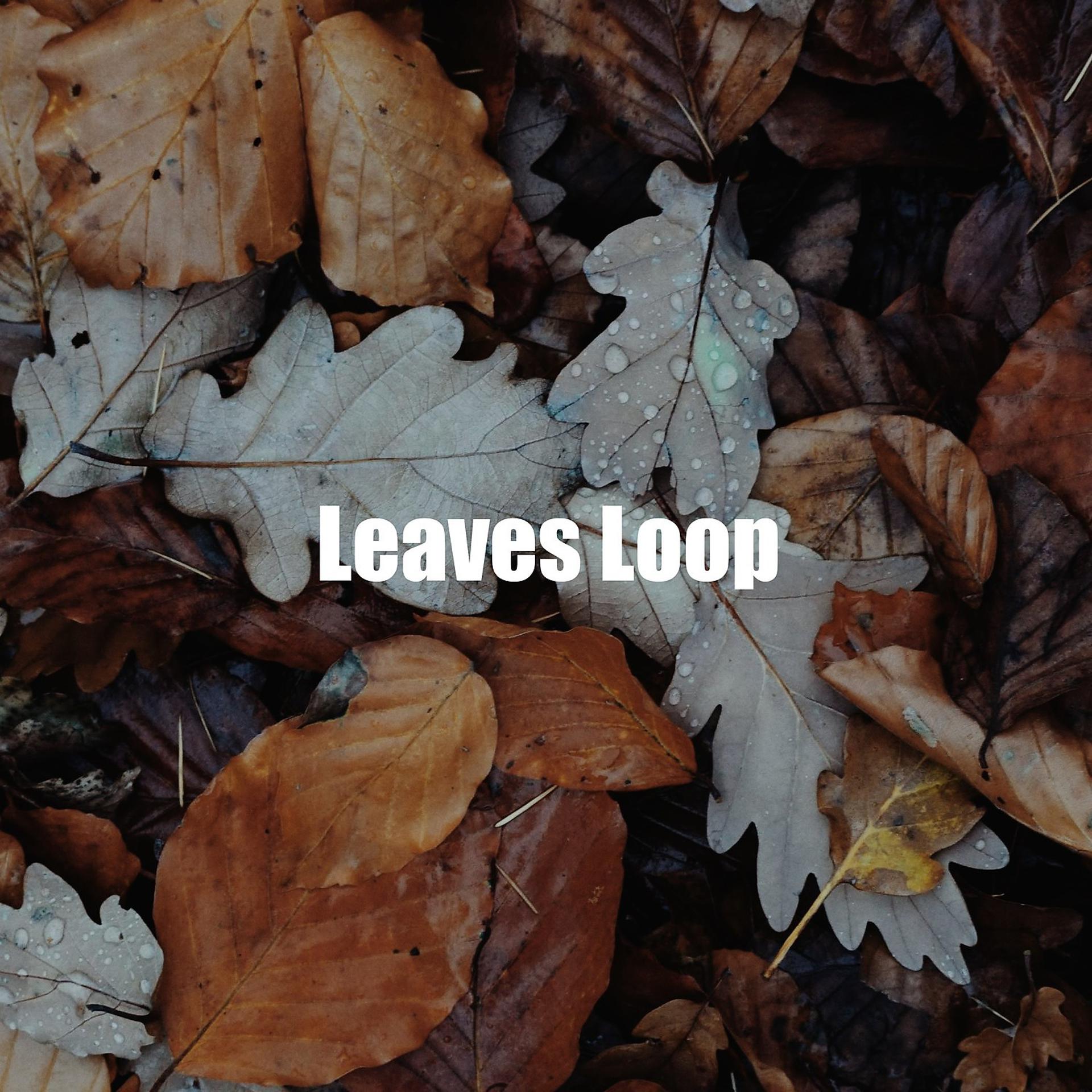 Постер альбома Leaves Loop