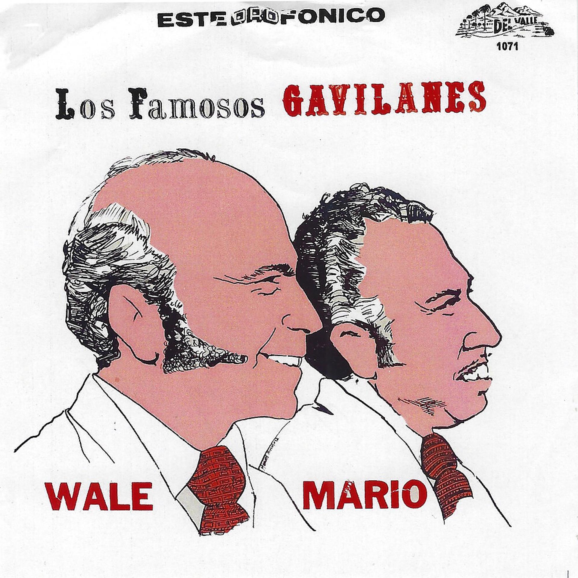 Постер альбома Los Famosos Gavilanes
