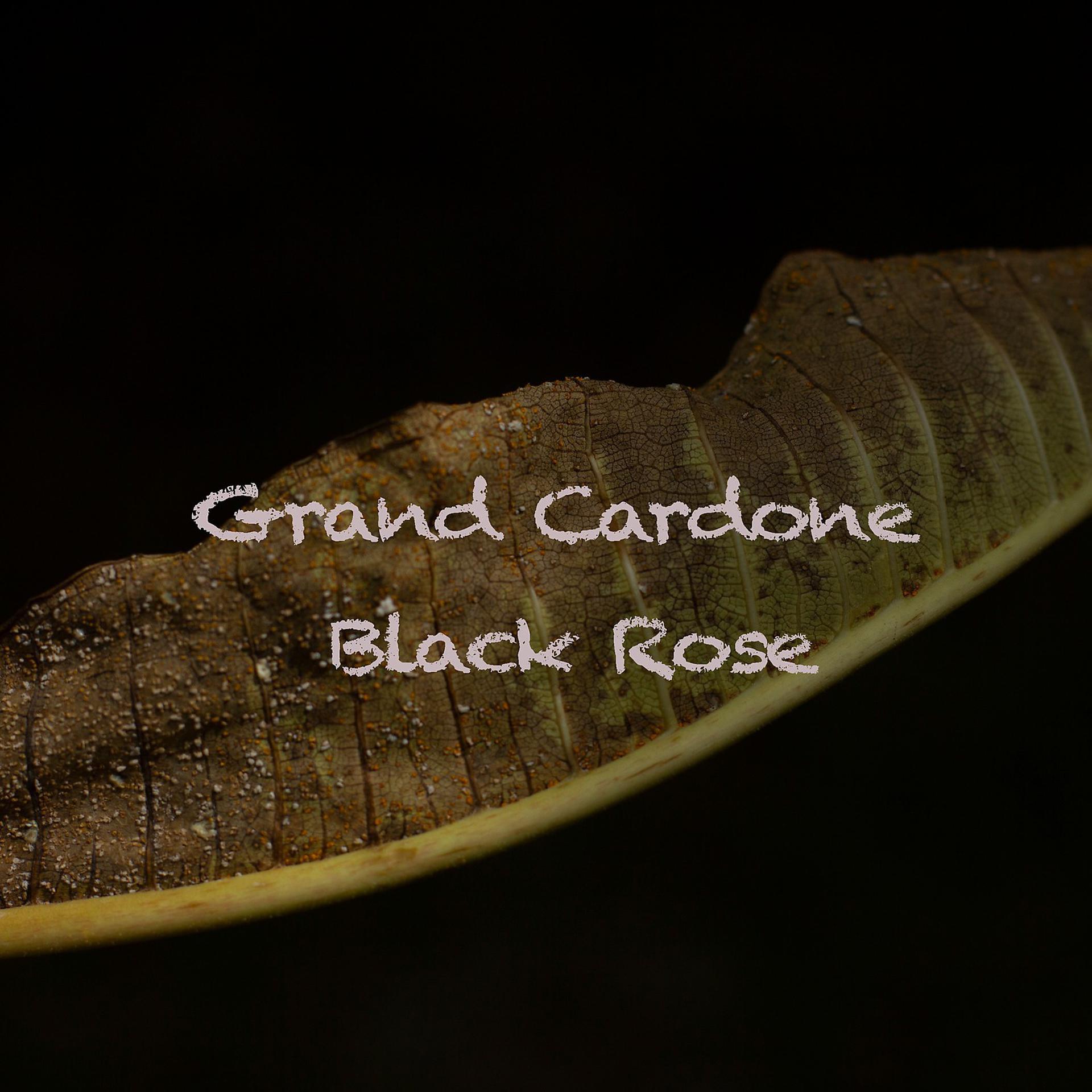 Постер альбома Black Rose