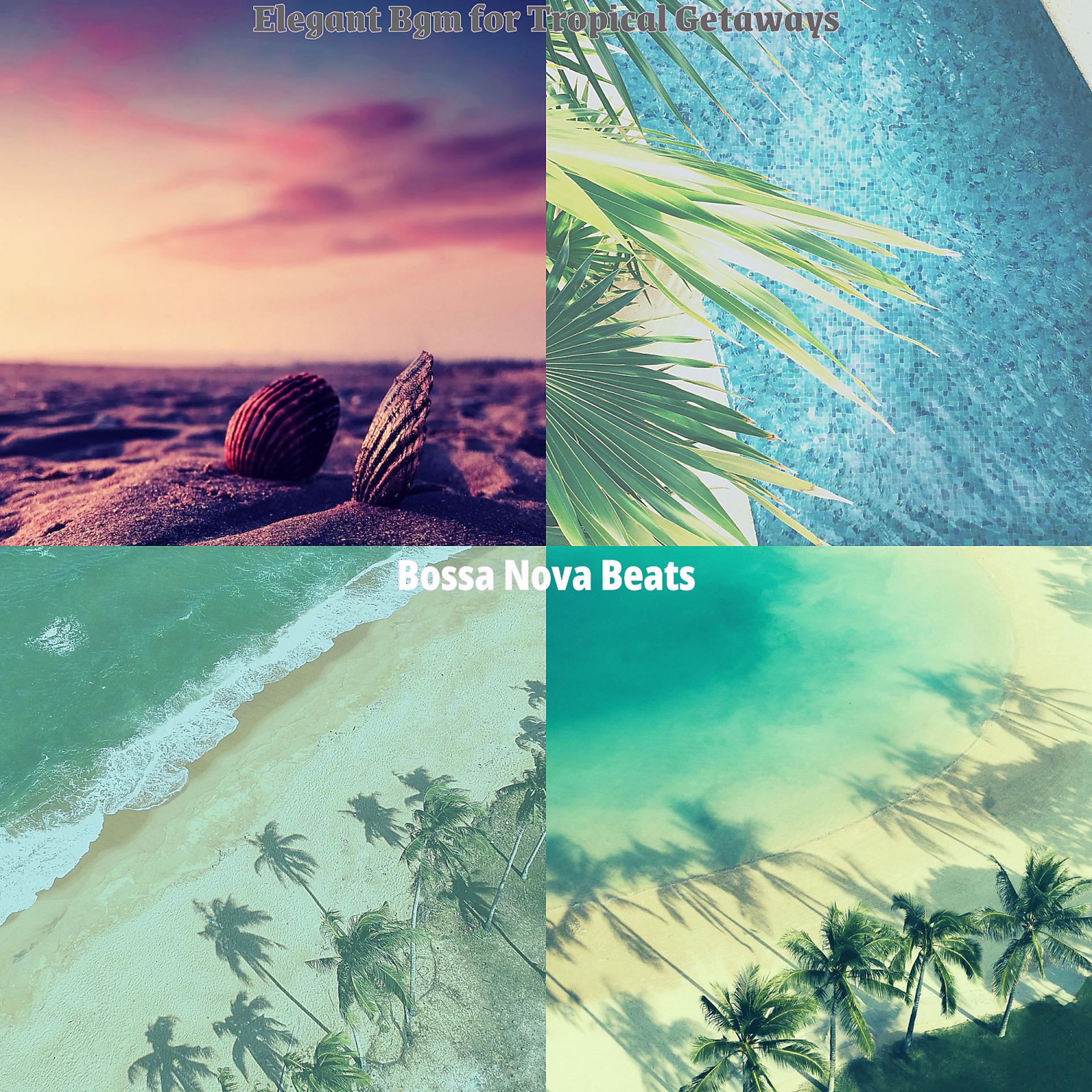 Постер альбома Elegant Bgm for Tropical Getaways