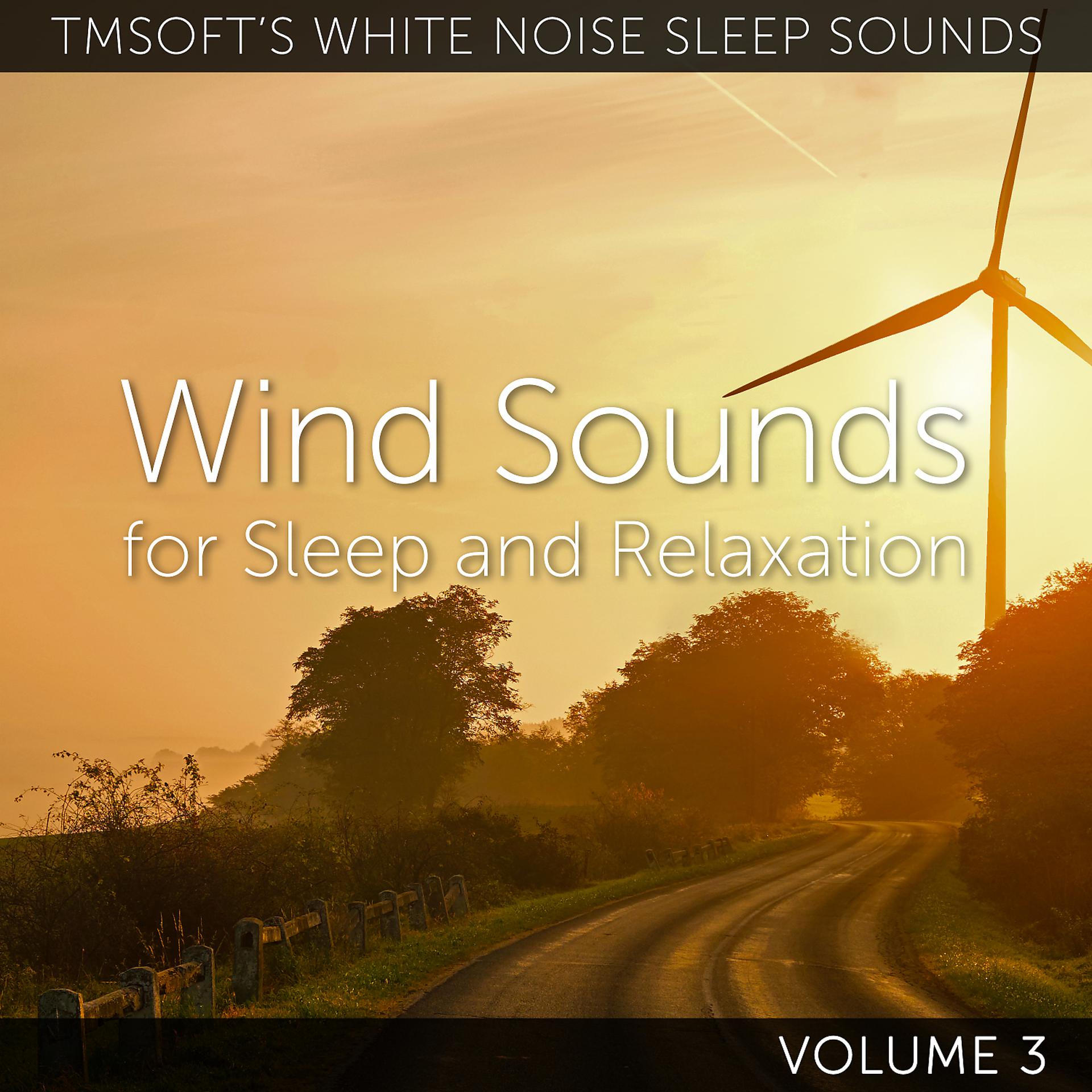 Постер альбома Wind Sounds for Sleep and Relaxation Volume 3