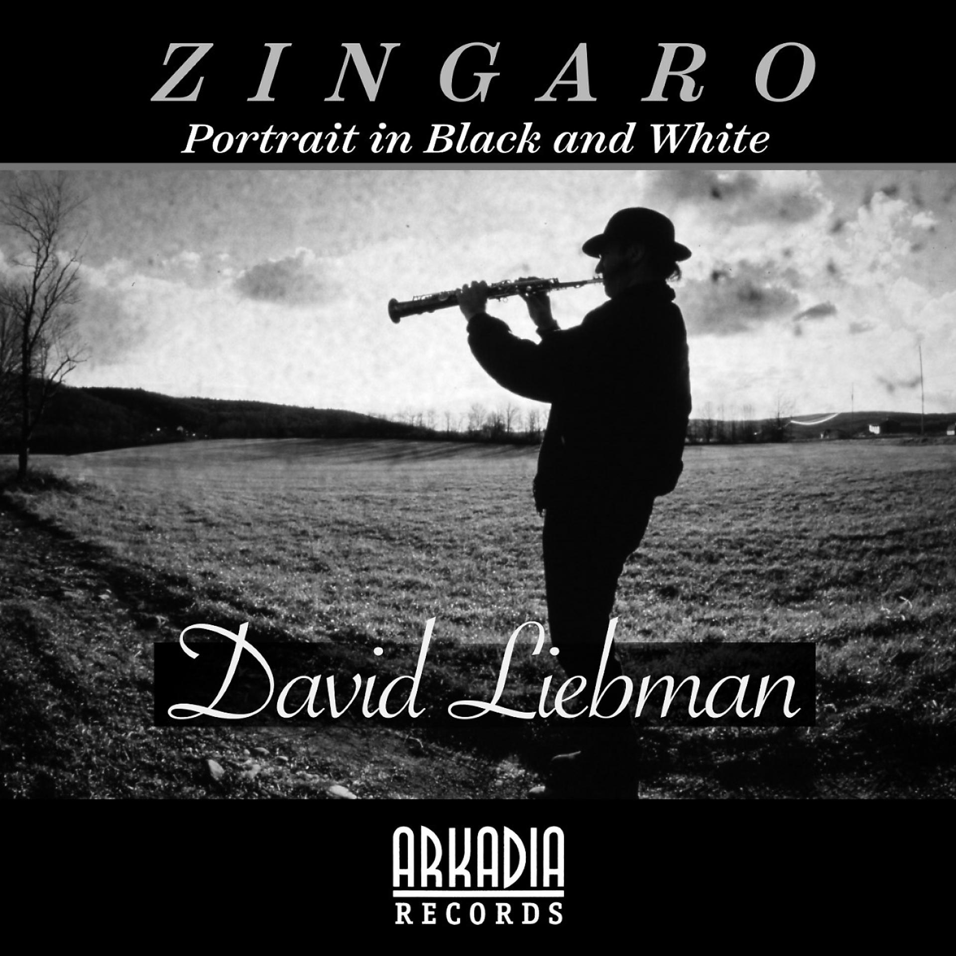 Постер альбома Zingaro (Portrait in Black  and White) (feat. Vic Juris, Tony Marino, Jamey Haddad & Café)