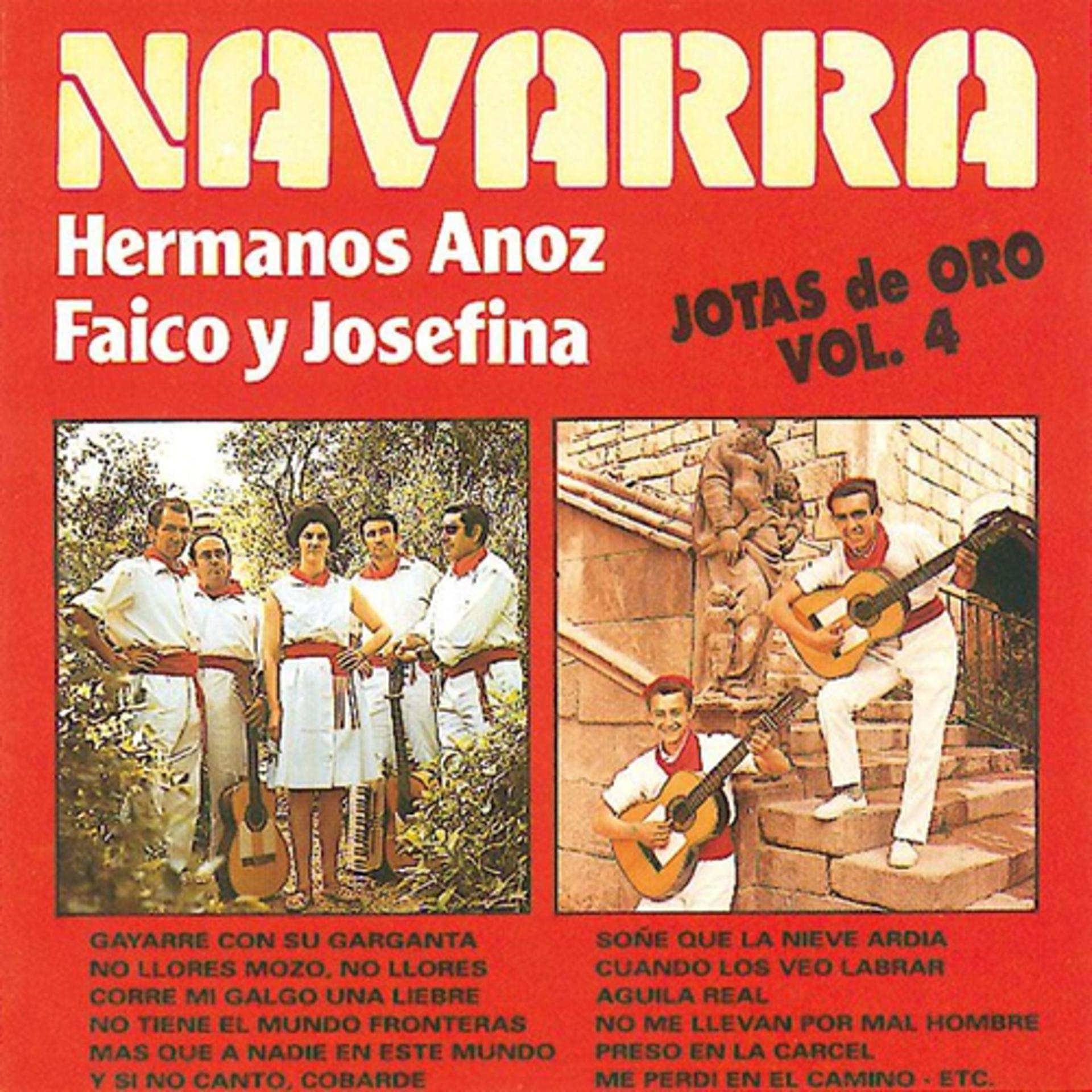 Постер альбома Jotas de Oro - Navarra, Vol. 4