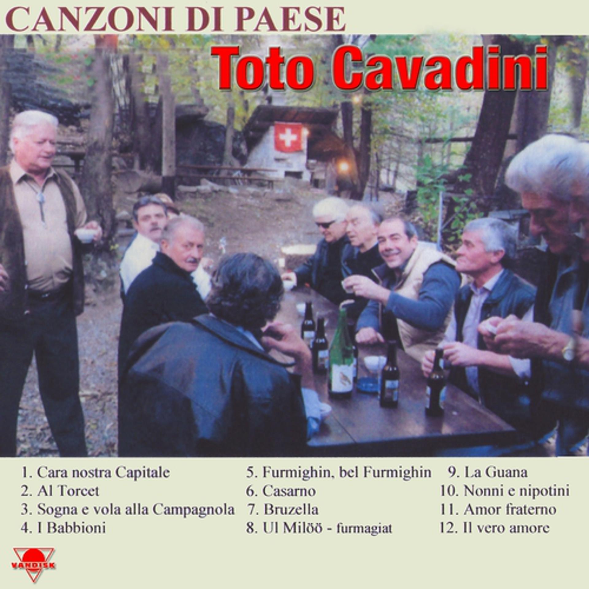 Постер альбома Canzoni di paese