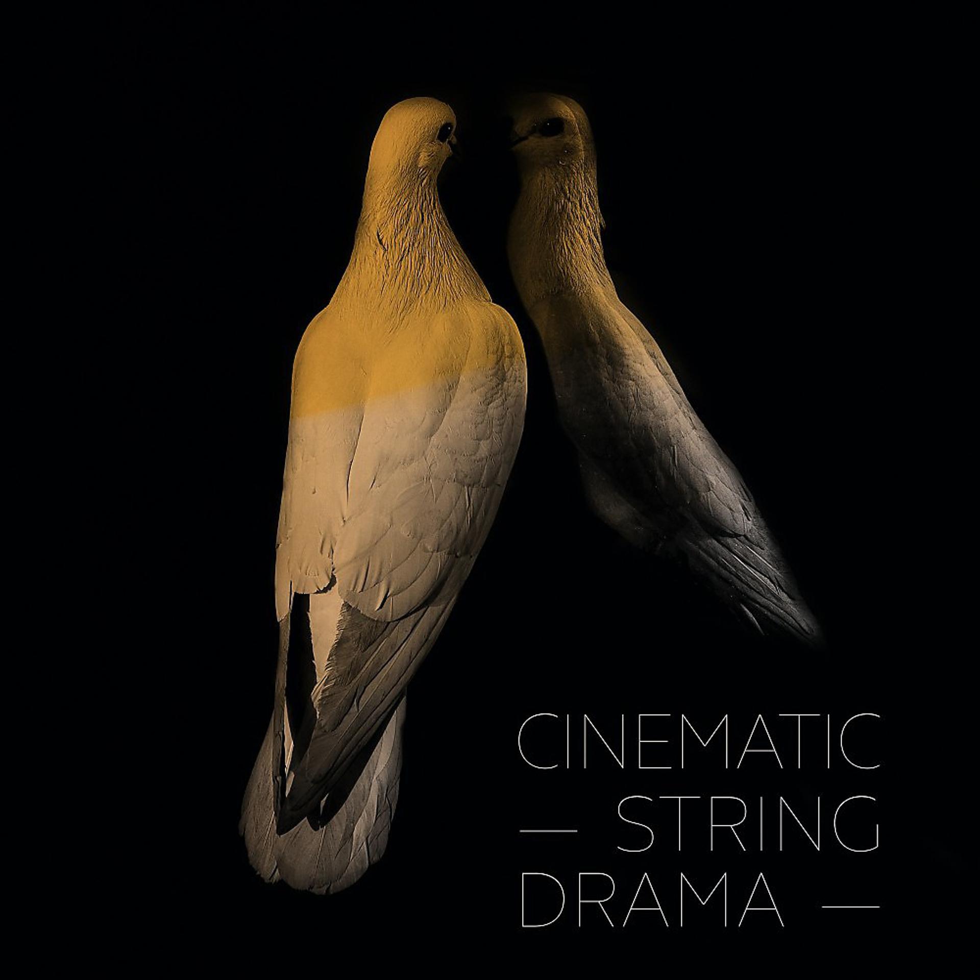 Постер альбома Cinematic String Drama