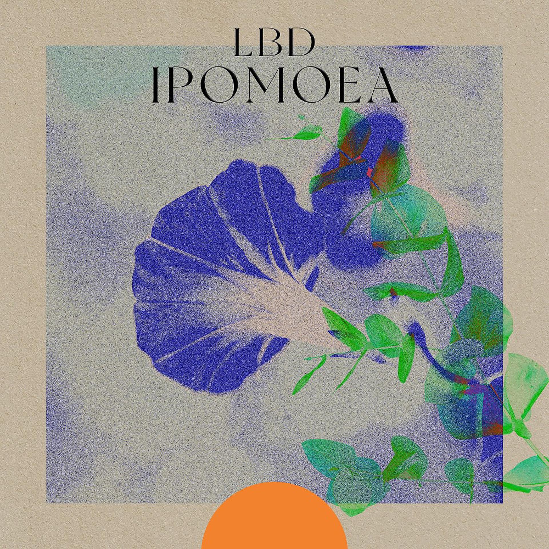 Постер альбома Ipomoea