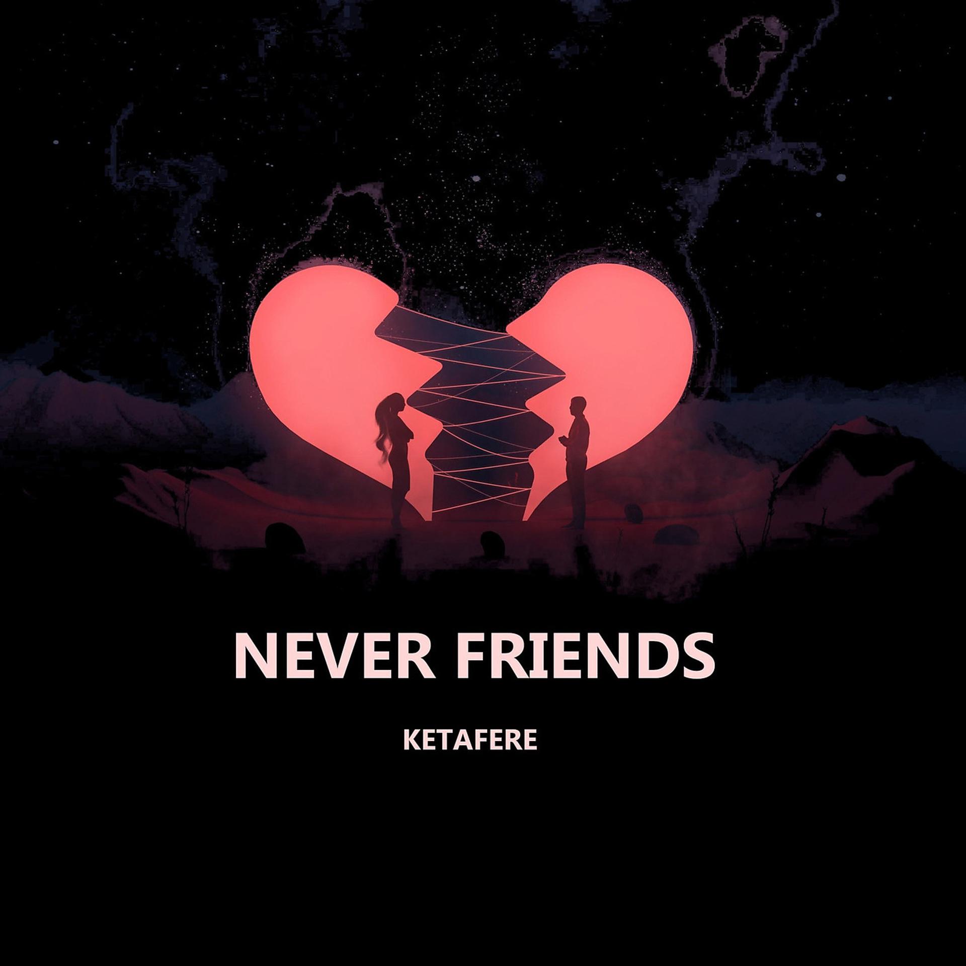 Постер альбома Never Friends