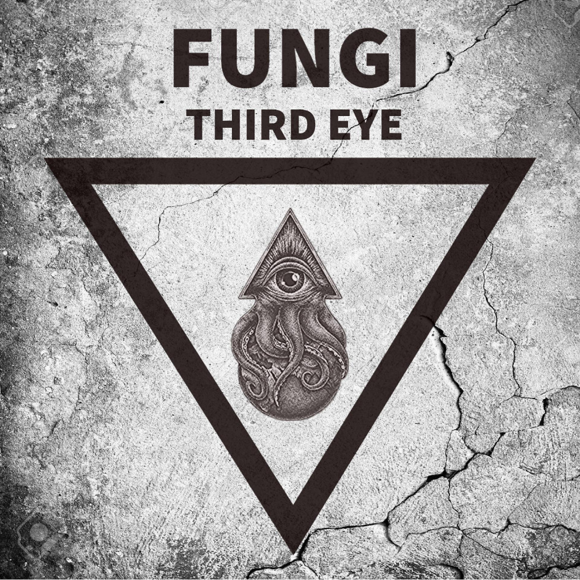 Постер альбома Third Eye