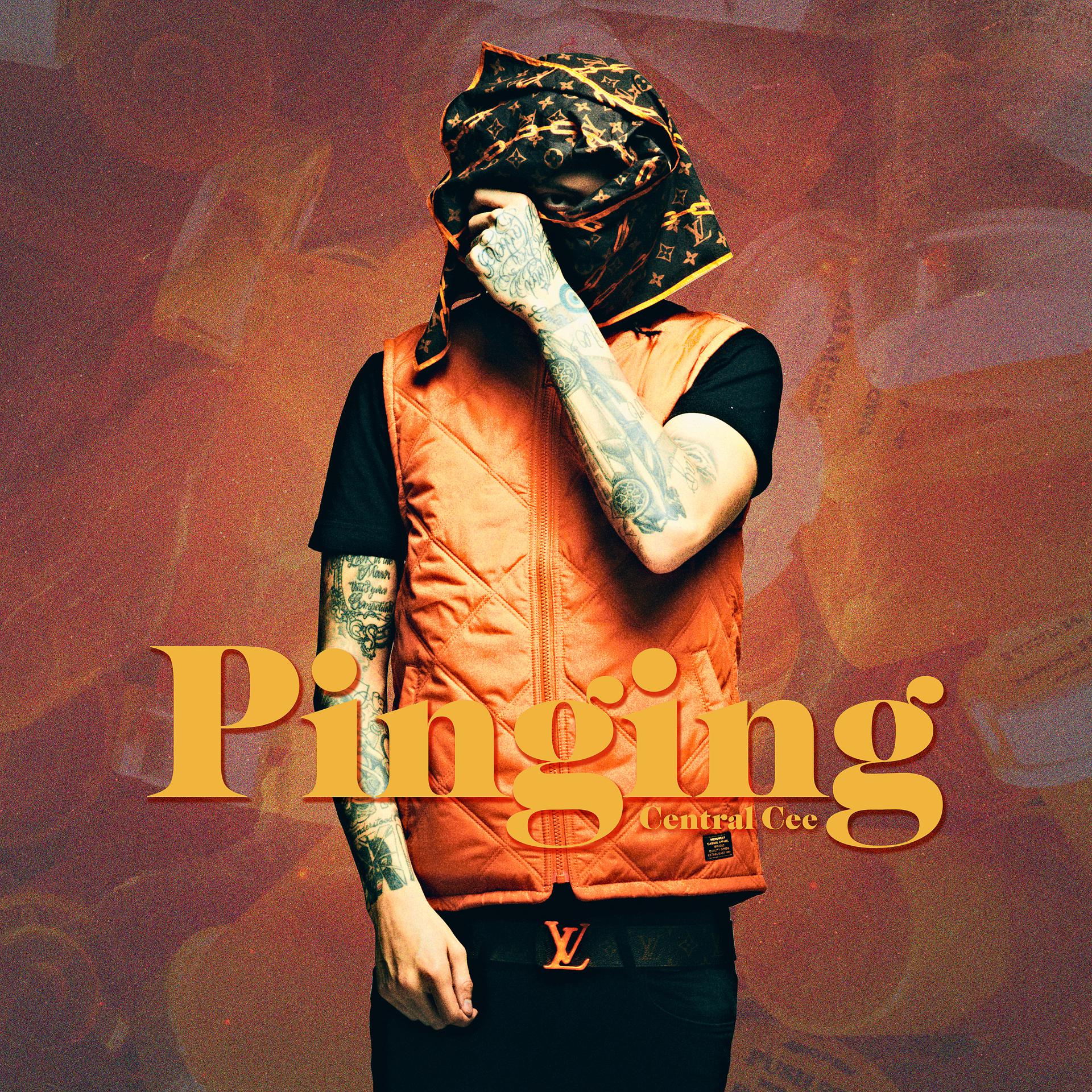 Постер альбома Pinging (6 Figures)