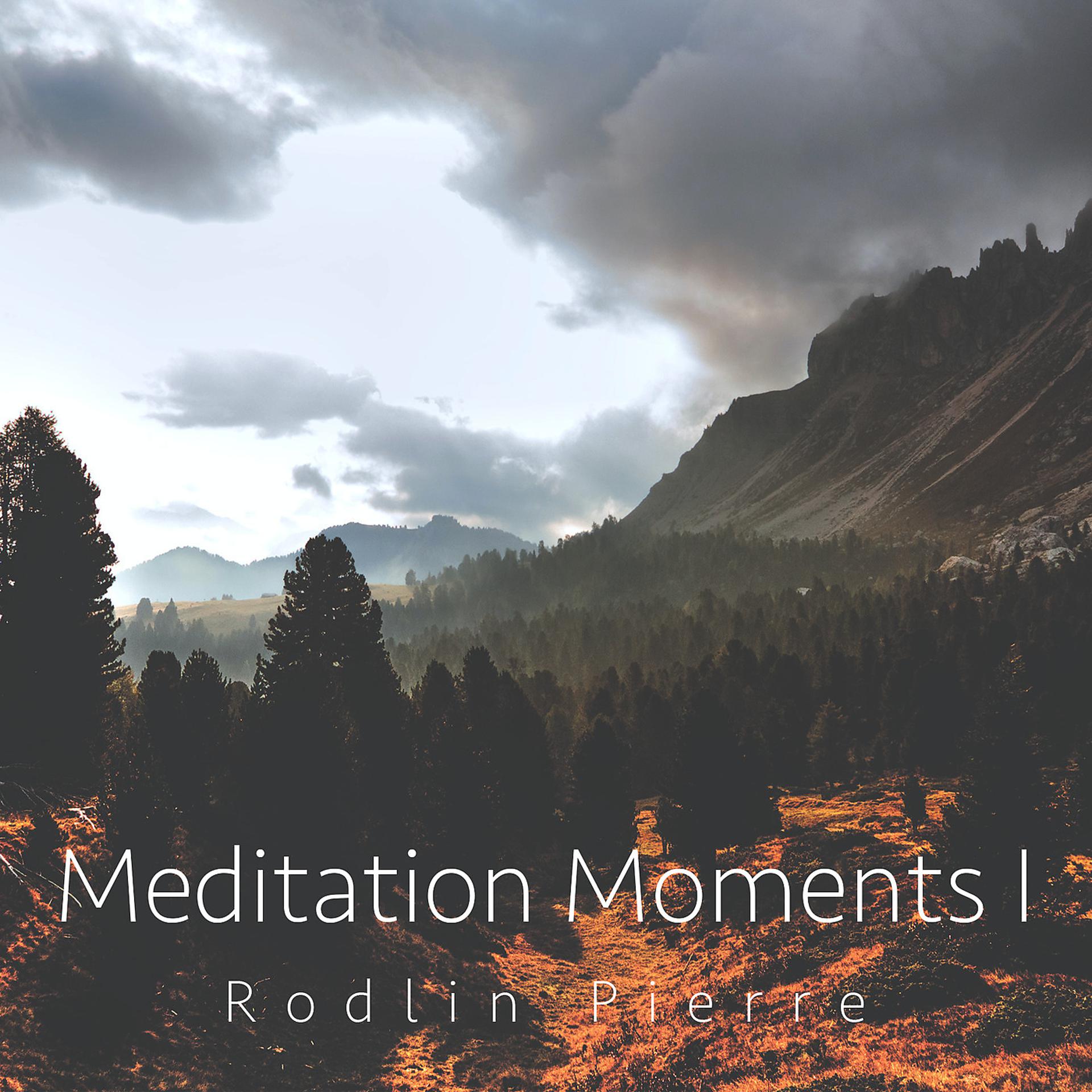Постер альбома Meditation Moments 1