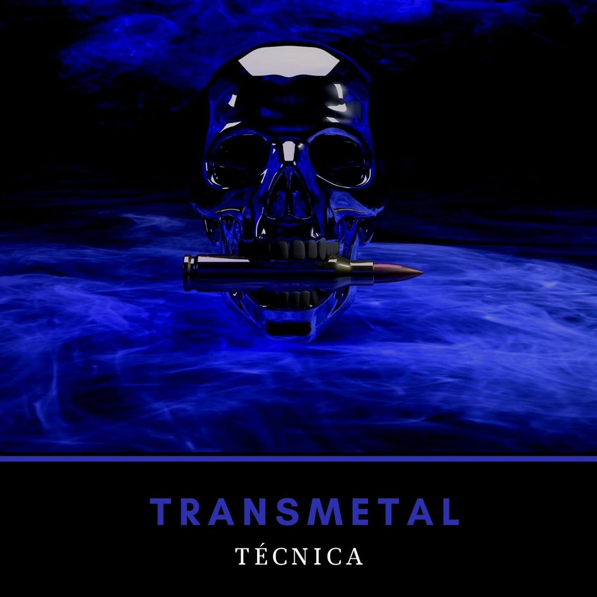 Постер альбома Técnica