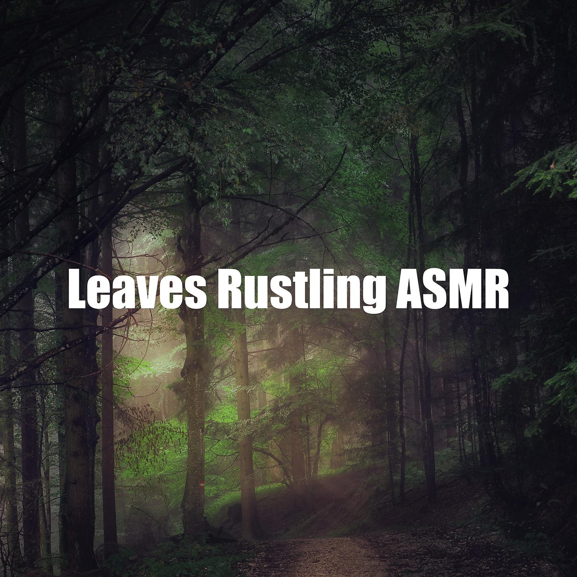 Постер альбома Leaves Rustling ASMR