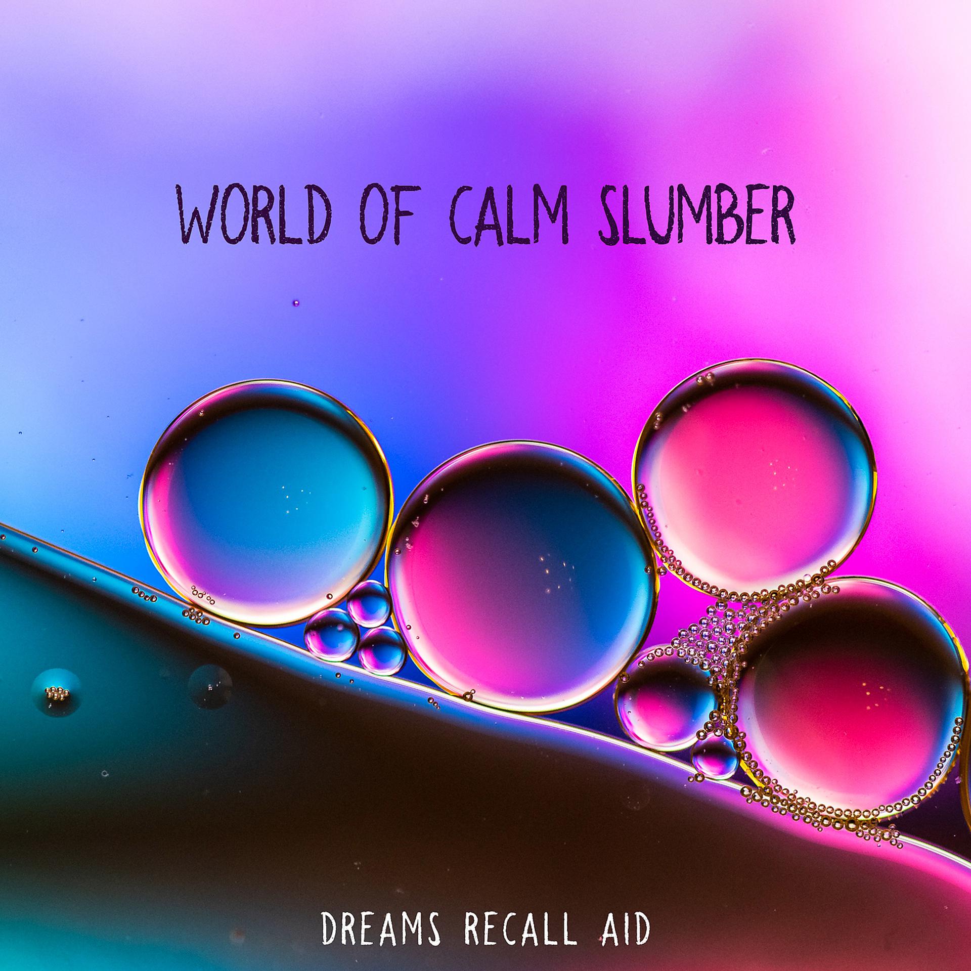 Постер альбома World of Calm Slumber – Dreams Recall Aid