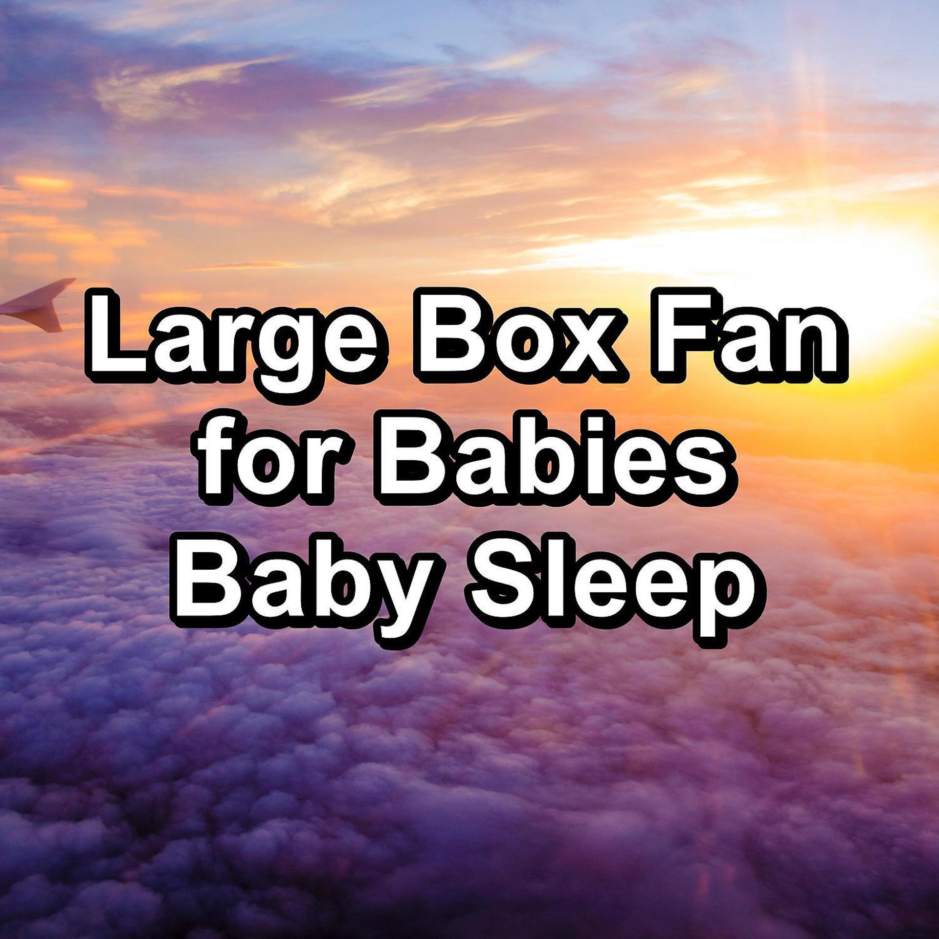 Постер альбома Large Box Fan for Babies Baby Sleep