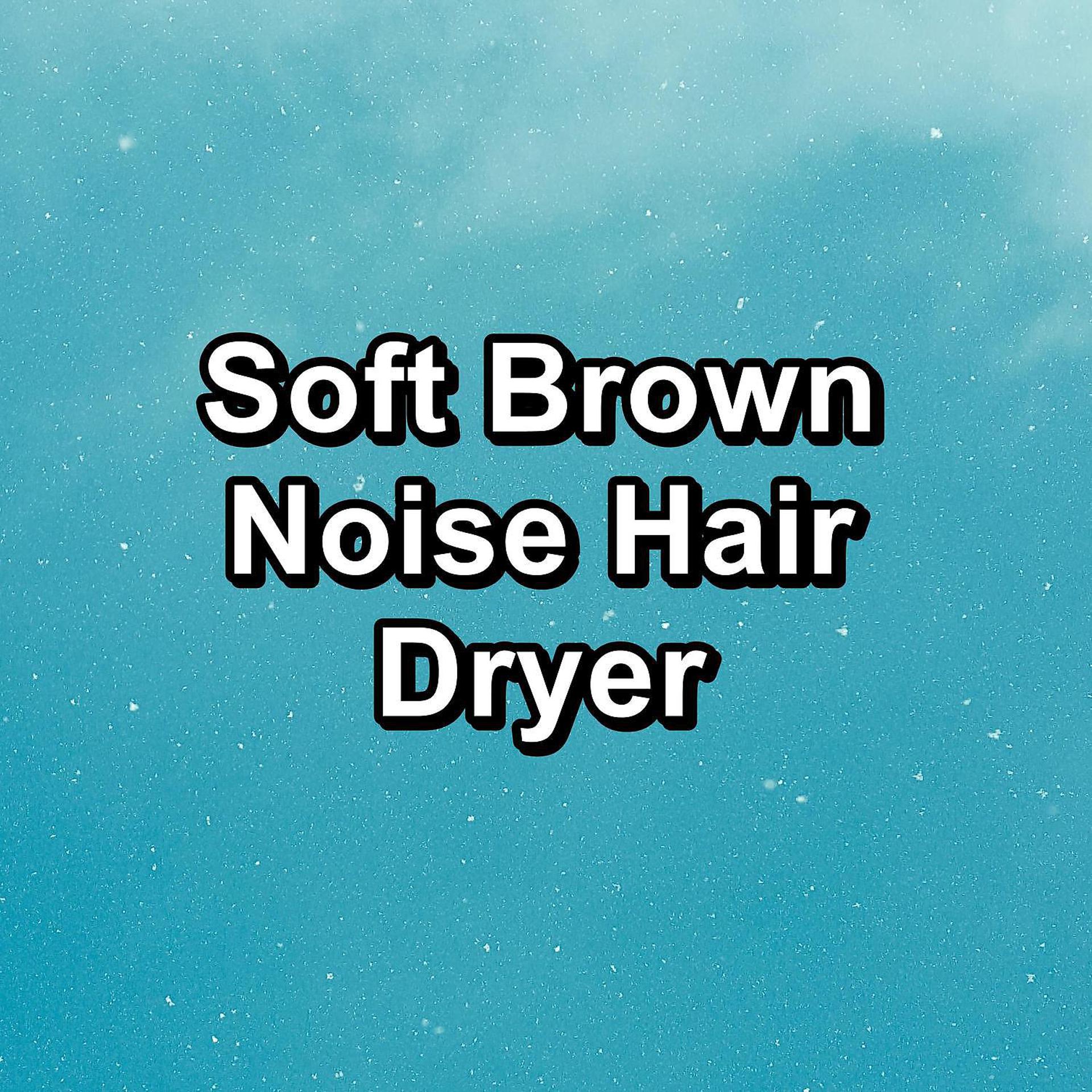 Постер альбома Soft Brown Noise Hair Dryer
