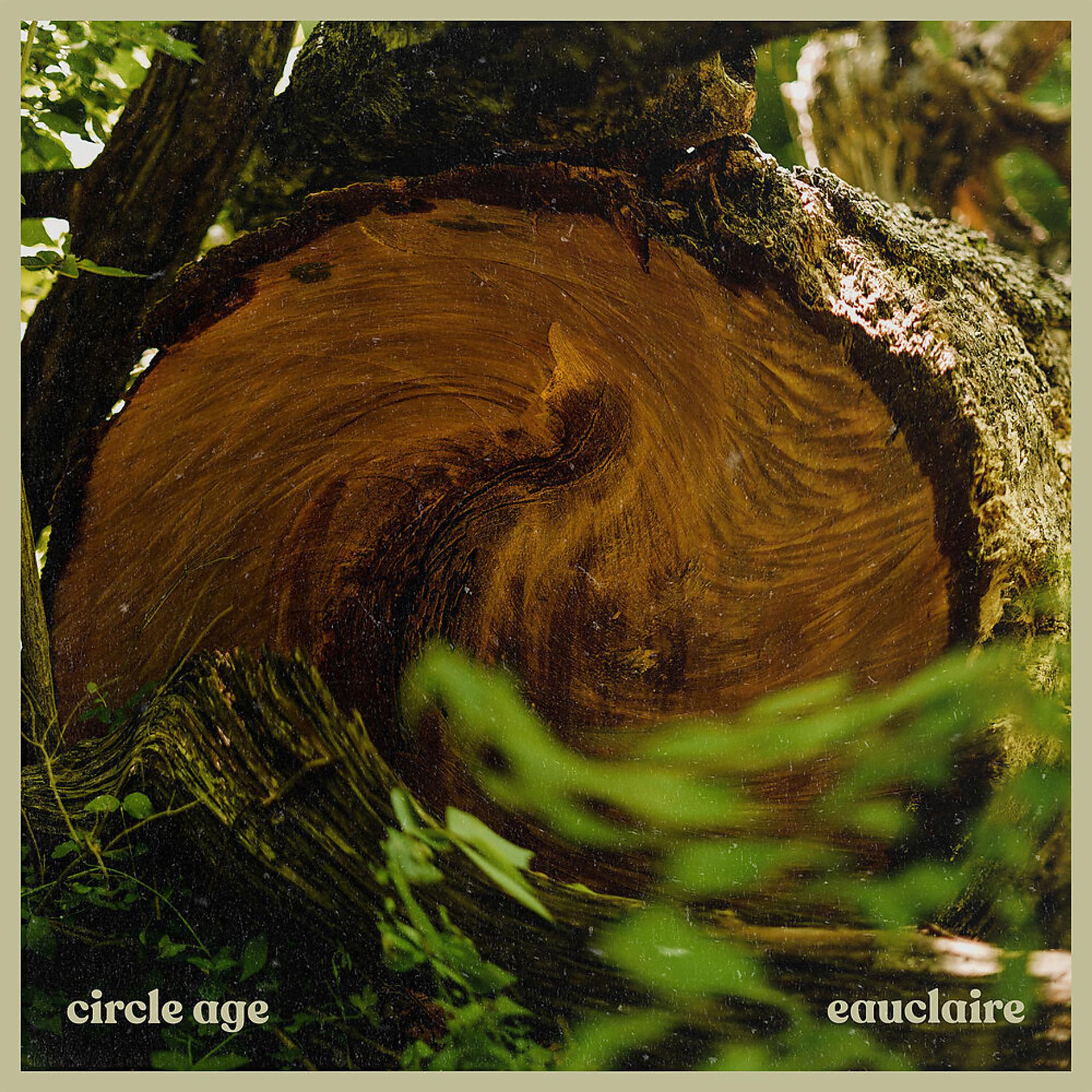 Постер альбома Circle Age
