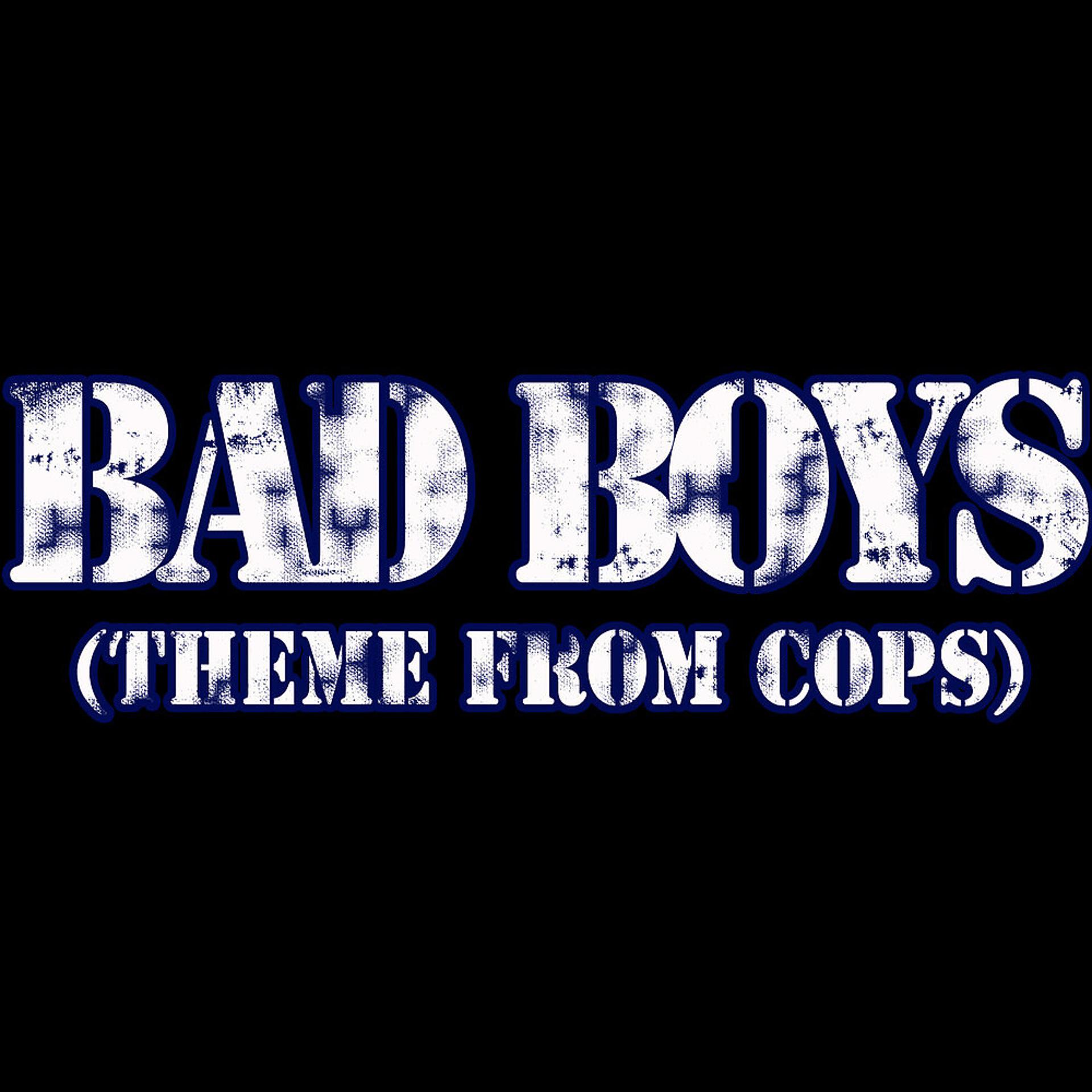 Постер альбома Bad Boys (Theme from Cops)