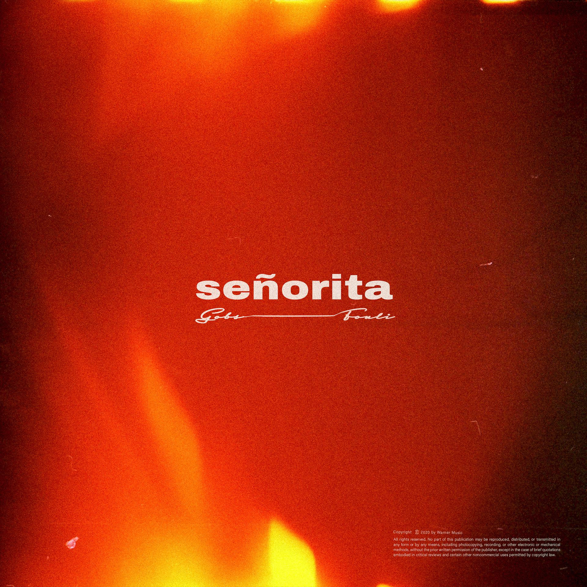 Постер альбома Señorita (feat. Fouli)