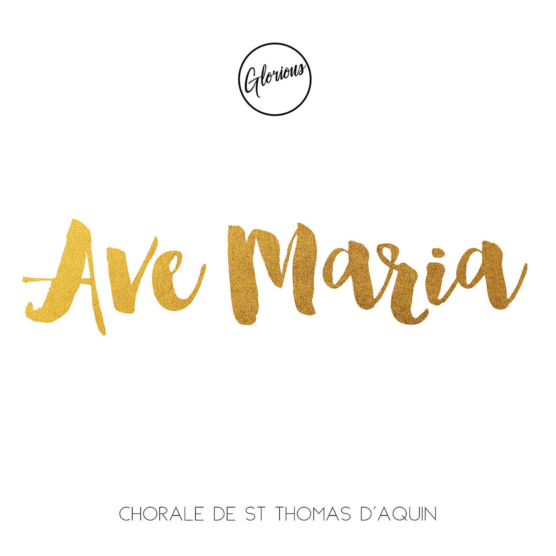 Постер альбома Ave Maria (Version Chorale St Thomas)