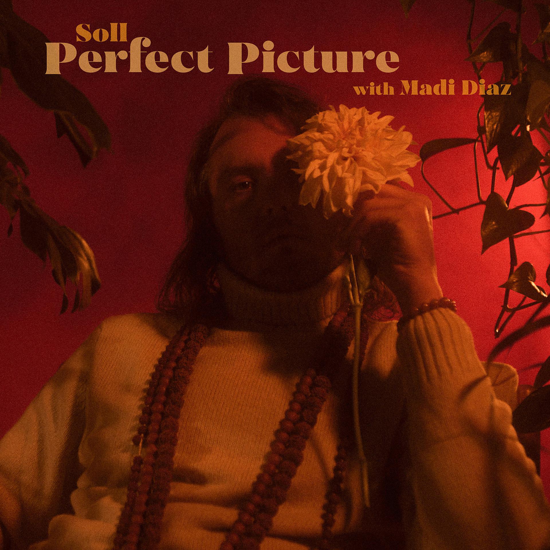 Постер альбома Perfect Picture