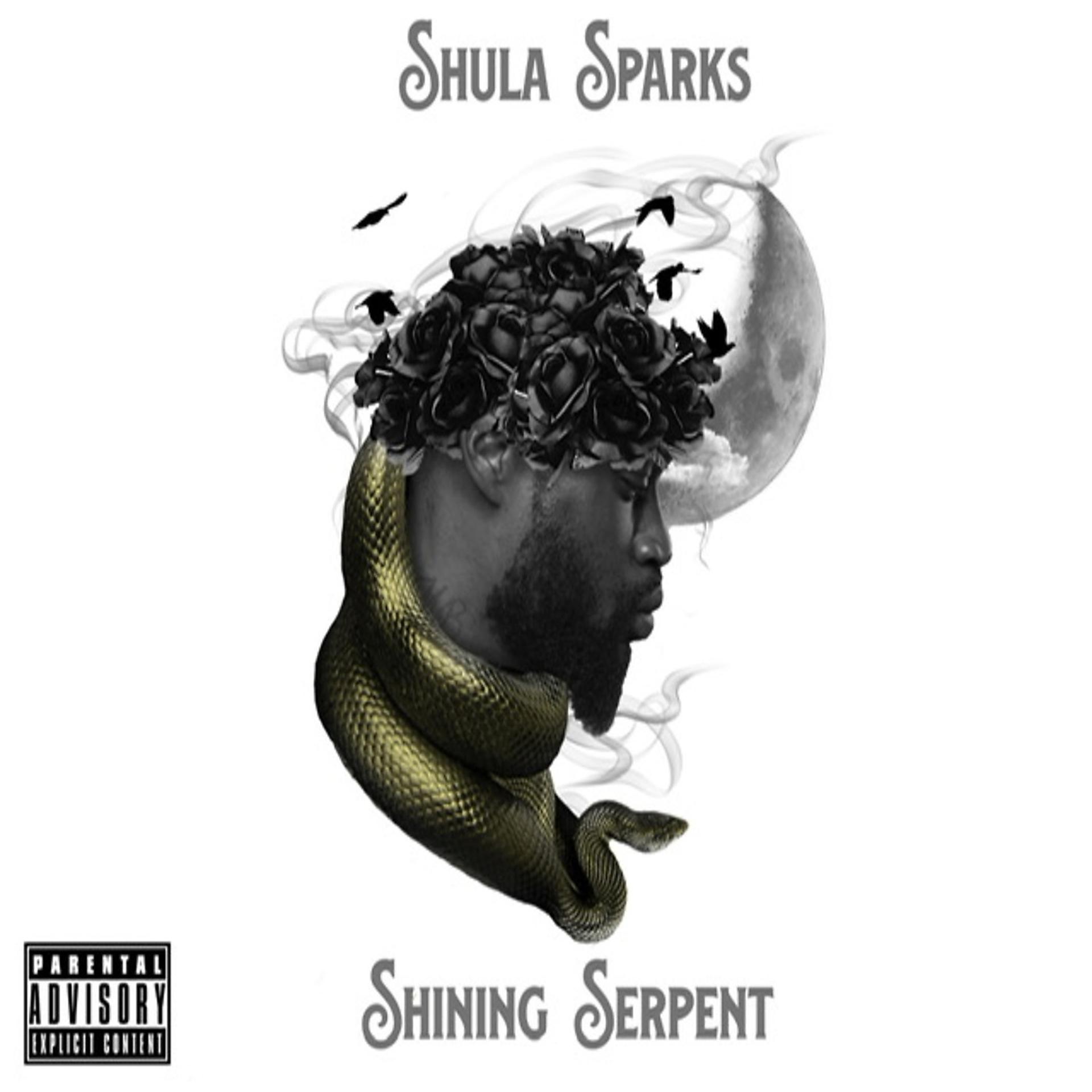 Постер альбома Shining Serpent