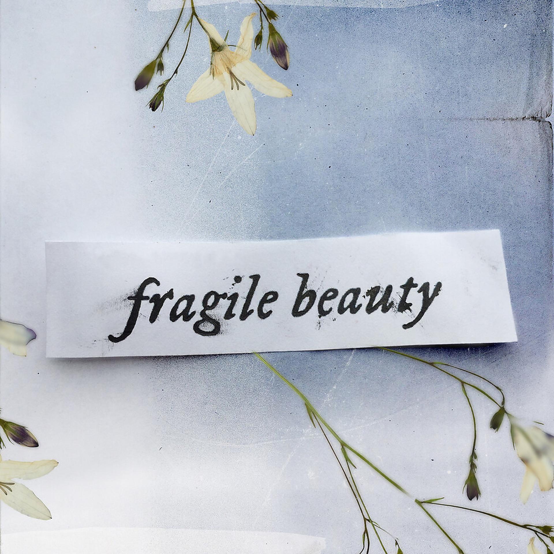 Постер альбома Fragile Beauty
