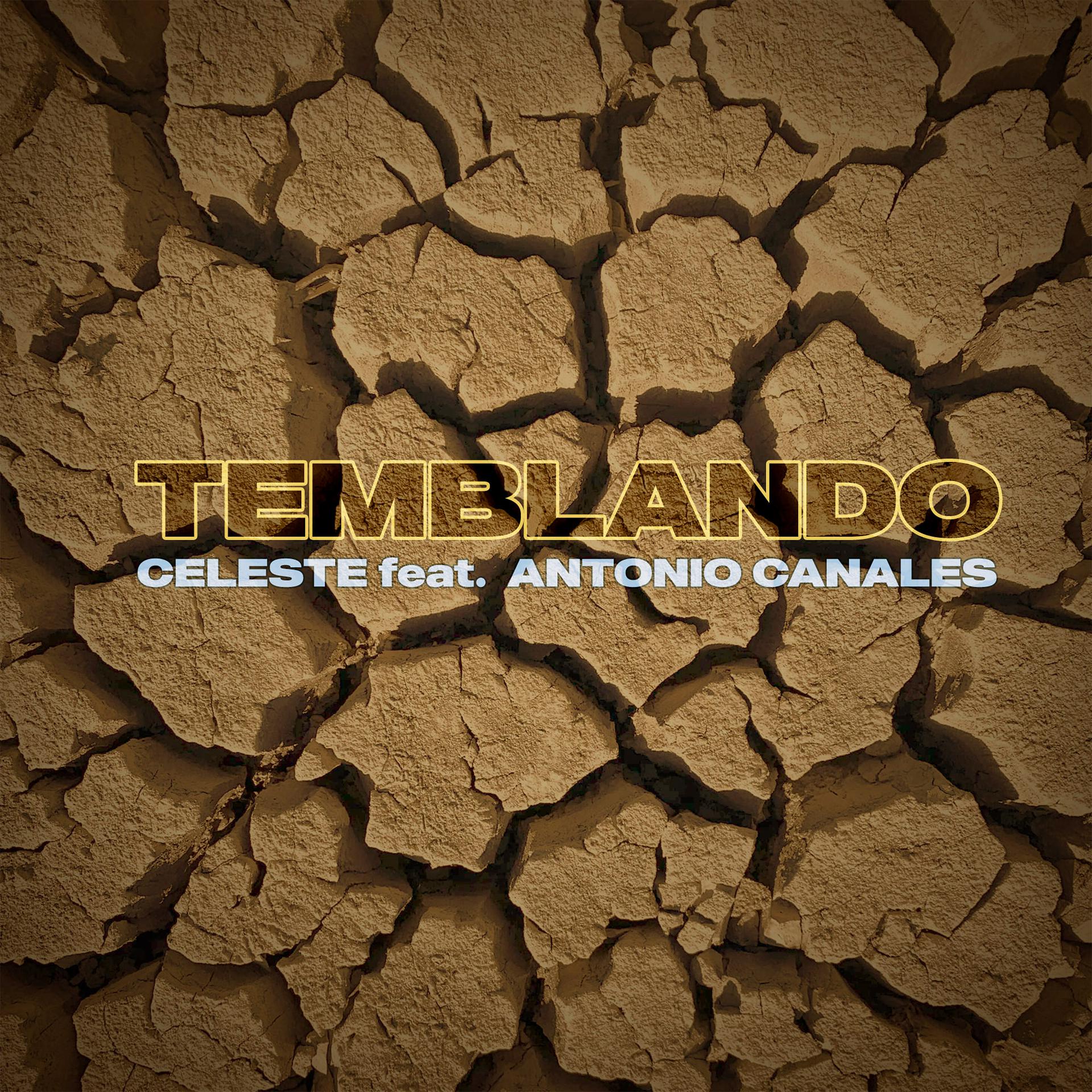 Постер альбома Temblando