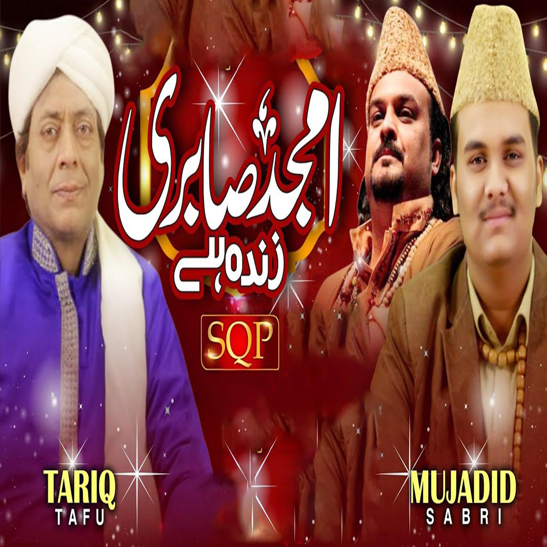 Постер альбома Amjad Sabri Zinda Hai
