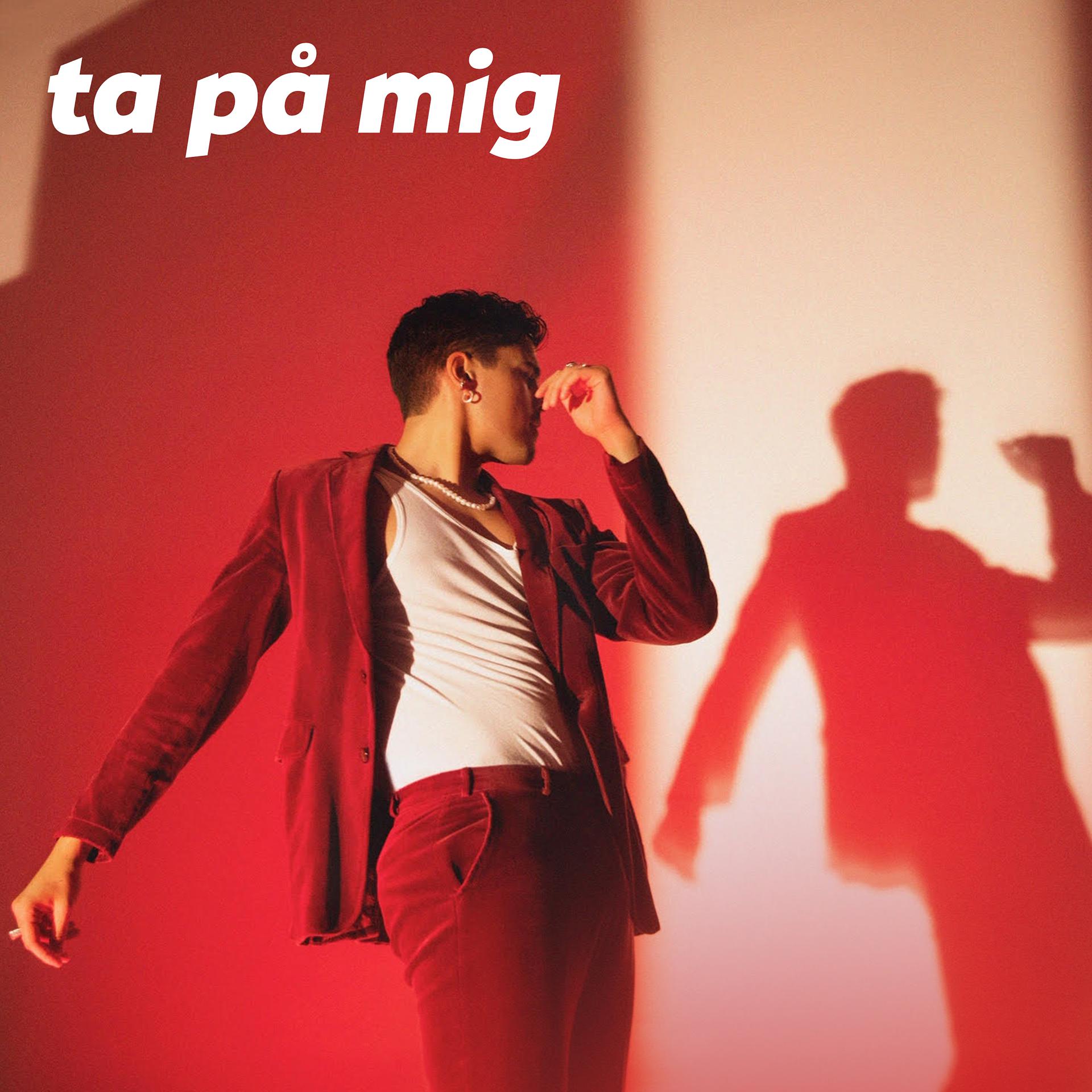 Постер альбома Ta på mig
